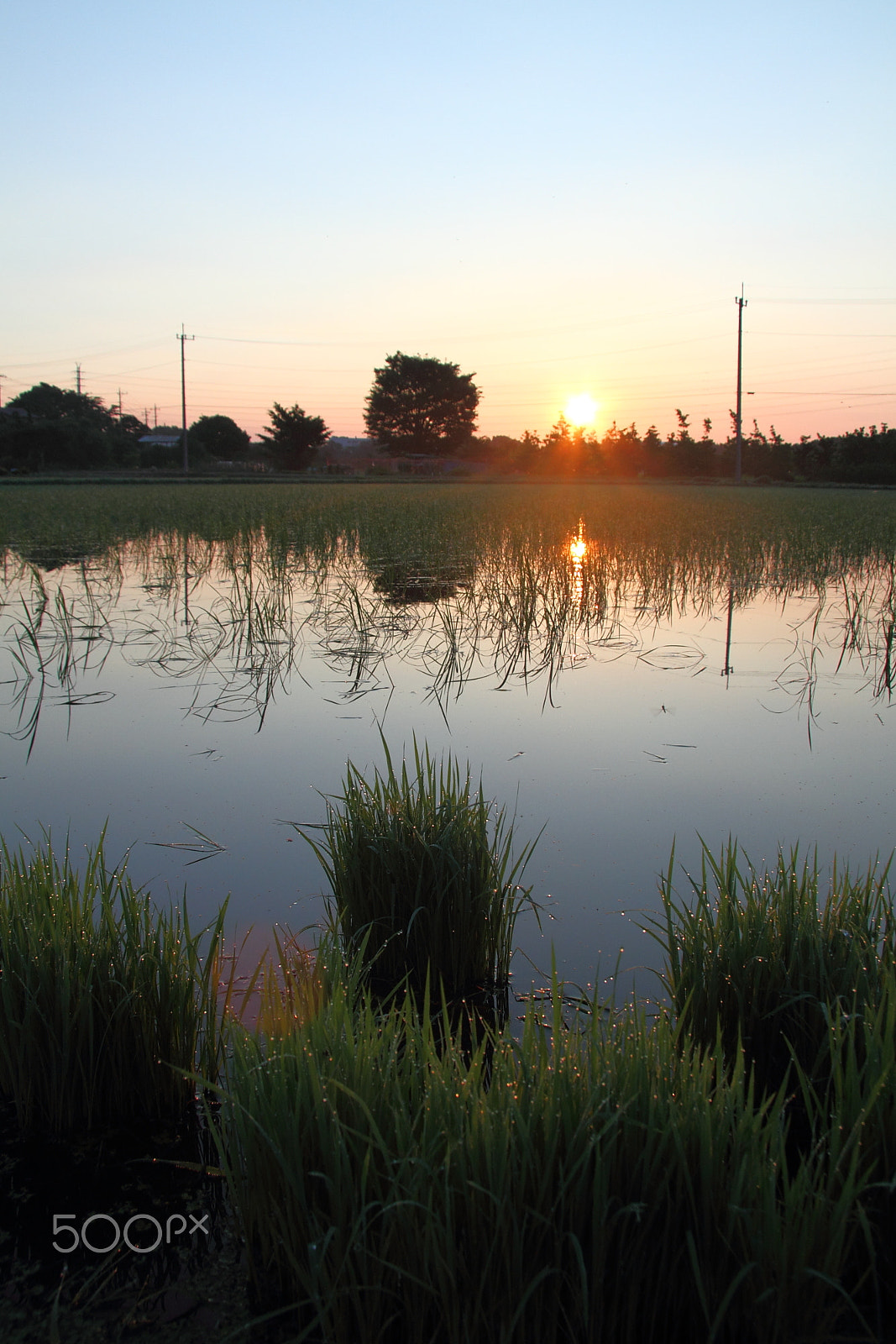 Canon EF-S 17-85mm F4-5.6 IS USM sample photo. Today's sunrise at 4:30a.m....in japan. photography
