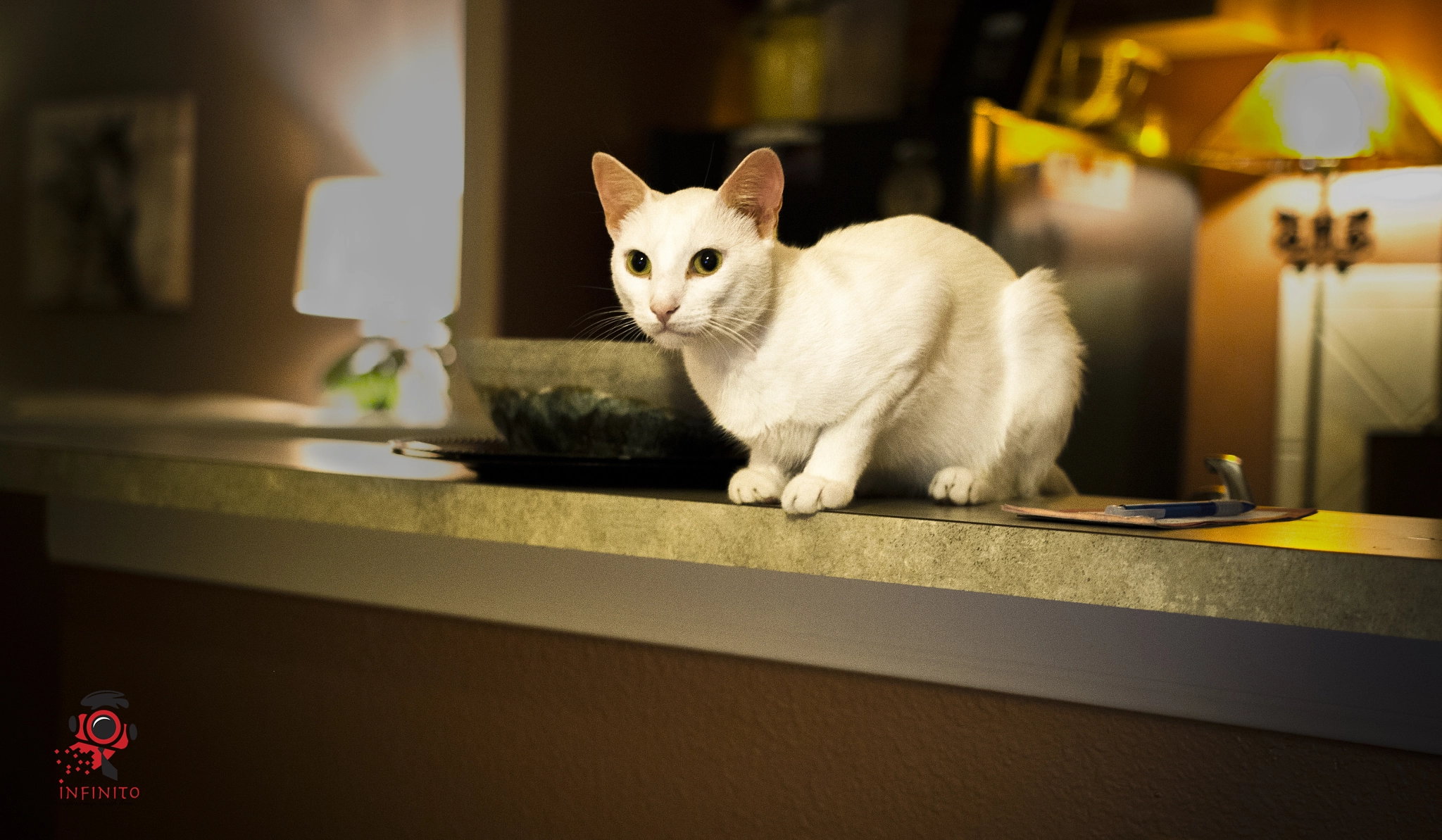 Sigma 18-35mm f/1.8 DC HSM sample photo. #thadius photography