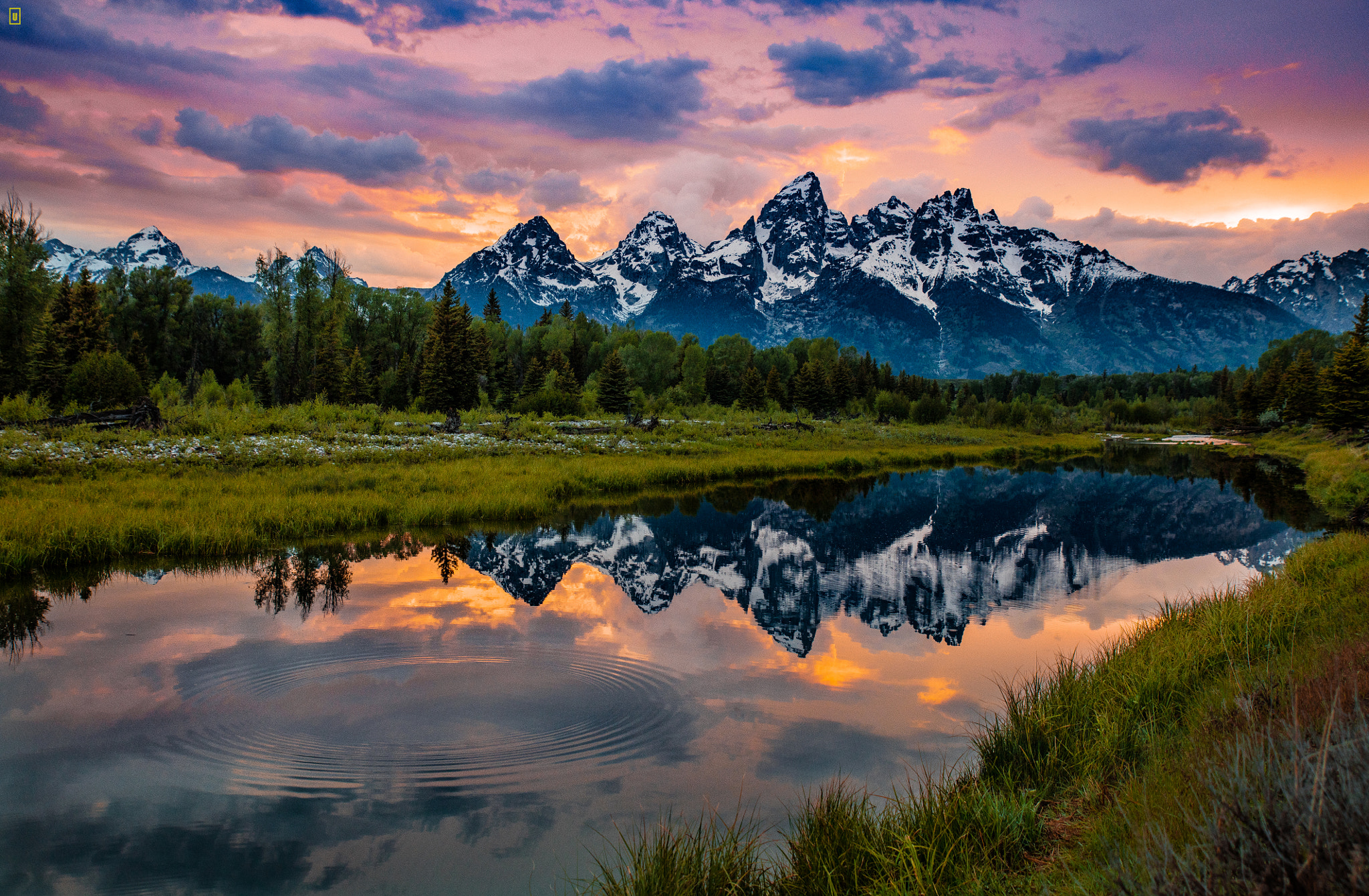 Sigma 24-70mm F2.8 EX DG Macro sample photo. Schwabacher landing photography