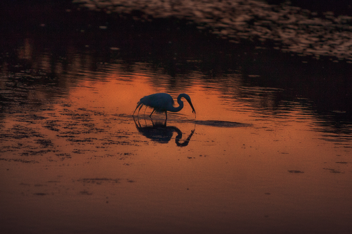 Canon EOS 30D sample photo. Fishing photography