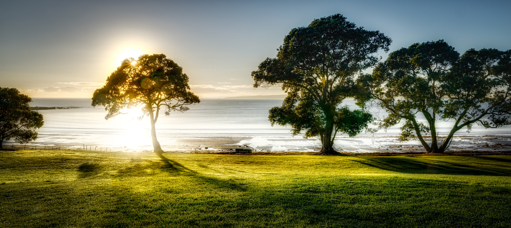 Sony a7R + Sony FE 24-70mm F2.8 GM sample photo. Takapuna trees photography