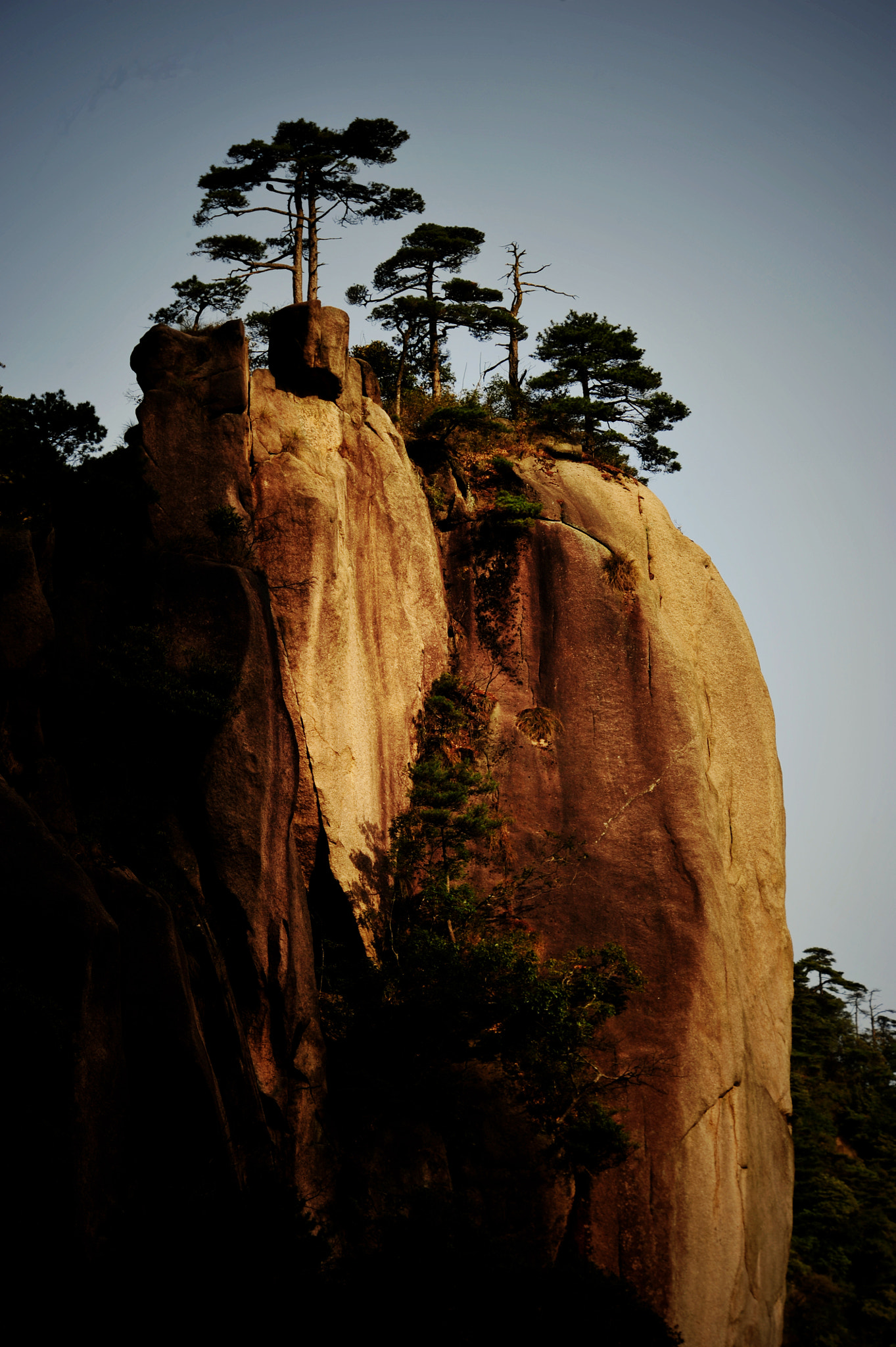 Nikon D3 sample photo. Power of life photography