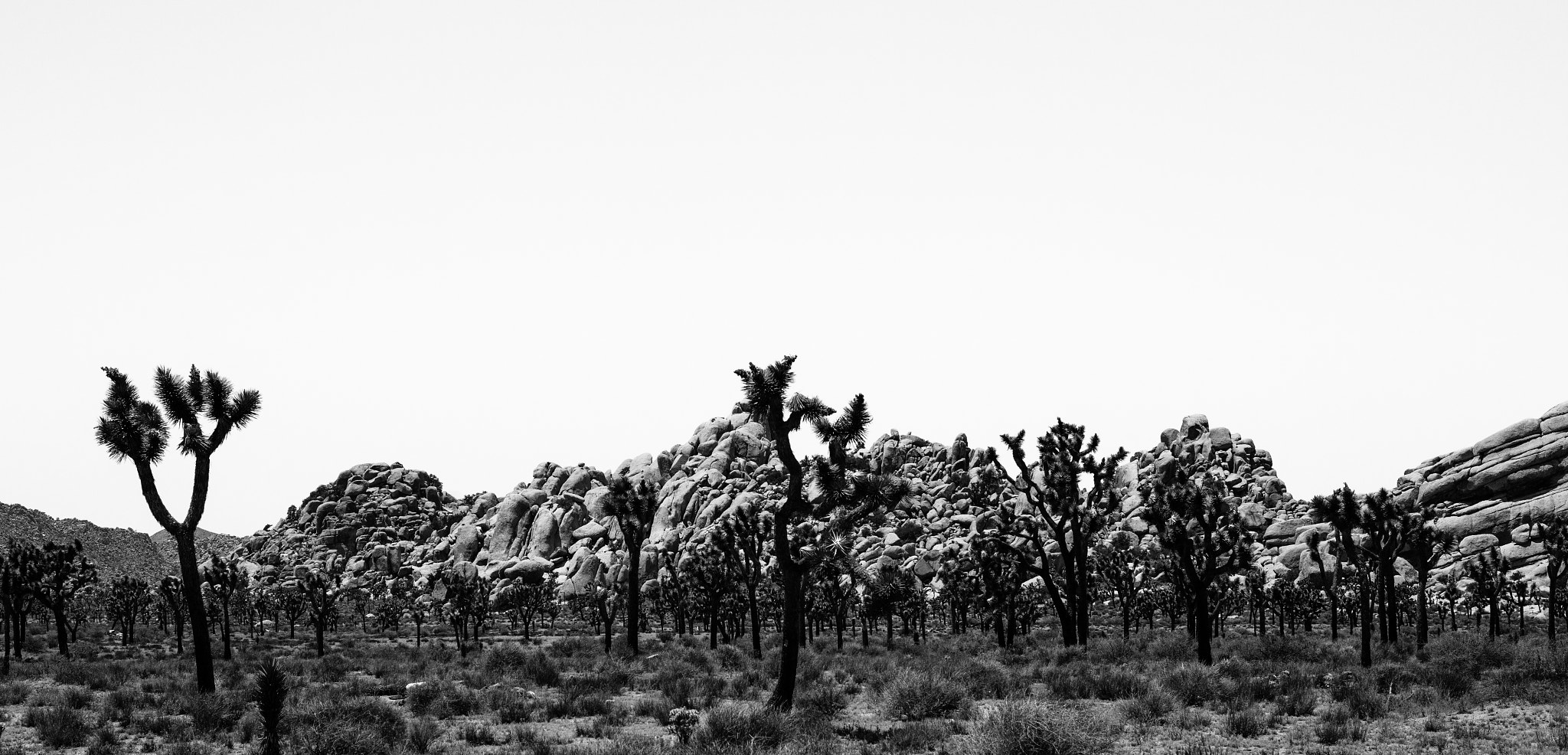 Summicron-M 1:2/50 sample photo. Jumbo rocks photography