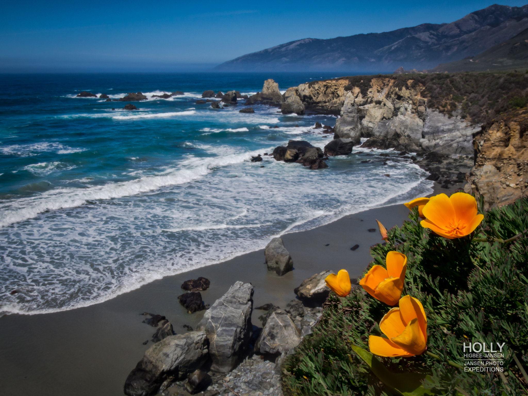 OLYMPUS 11-22mm Lens sample photo. Big sur poppies photography