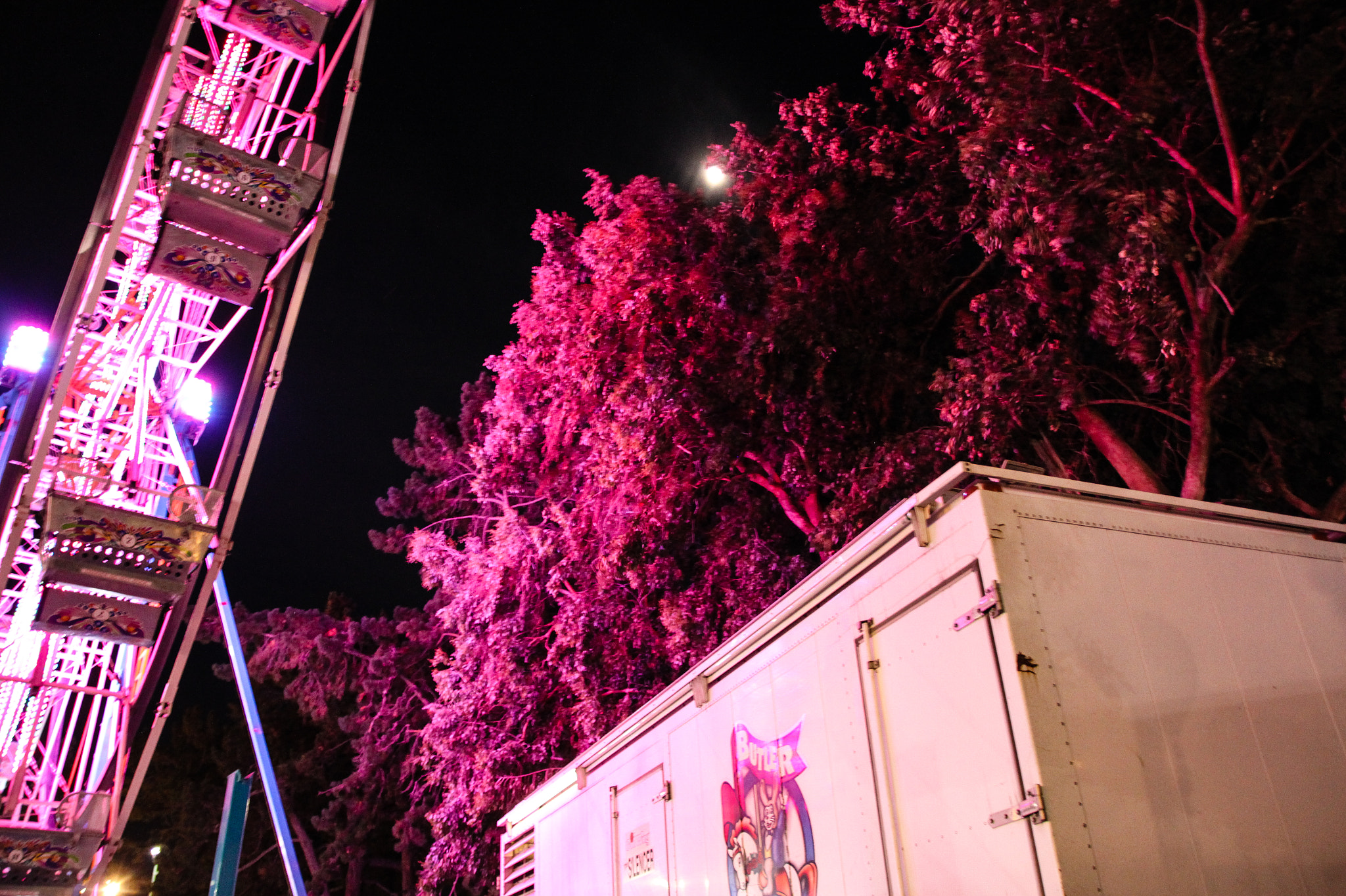 Canon EOS 500D (EOS Rebel T1i / EOS Kiss X3) sample photo. Pink tree photography