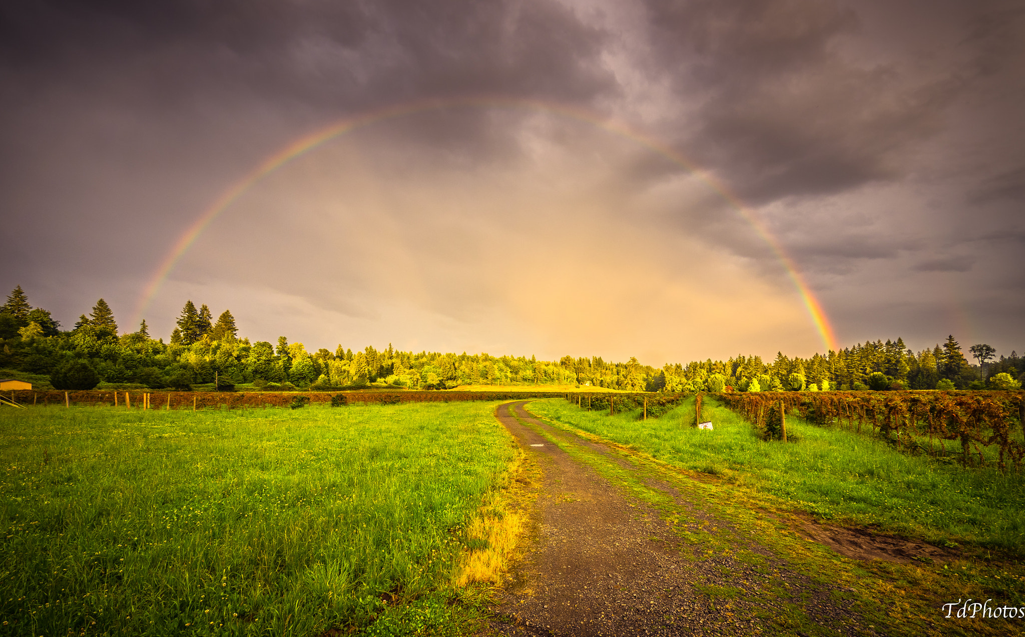 Olympus OM-D E-M1 + Panasonic Lumix G Vario 7-14mm F4 ASPH sample photo. Rainbow photography