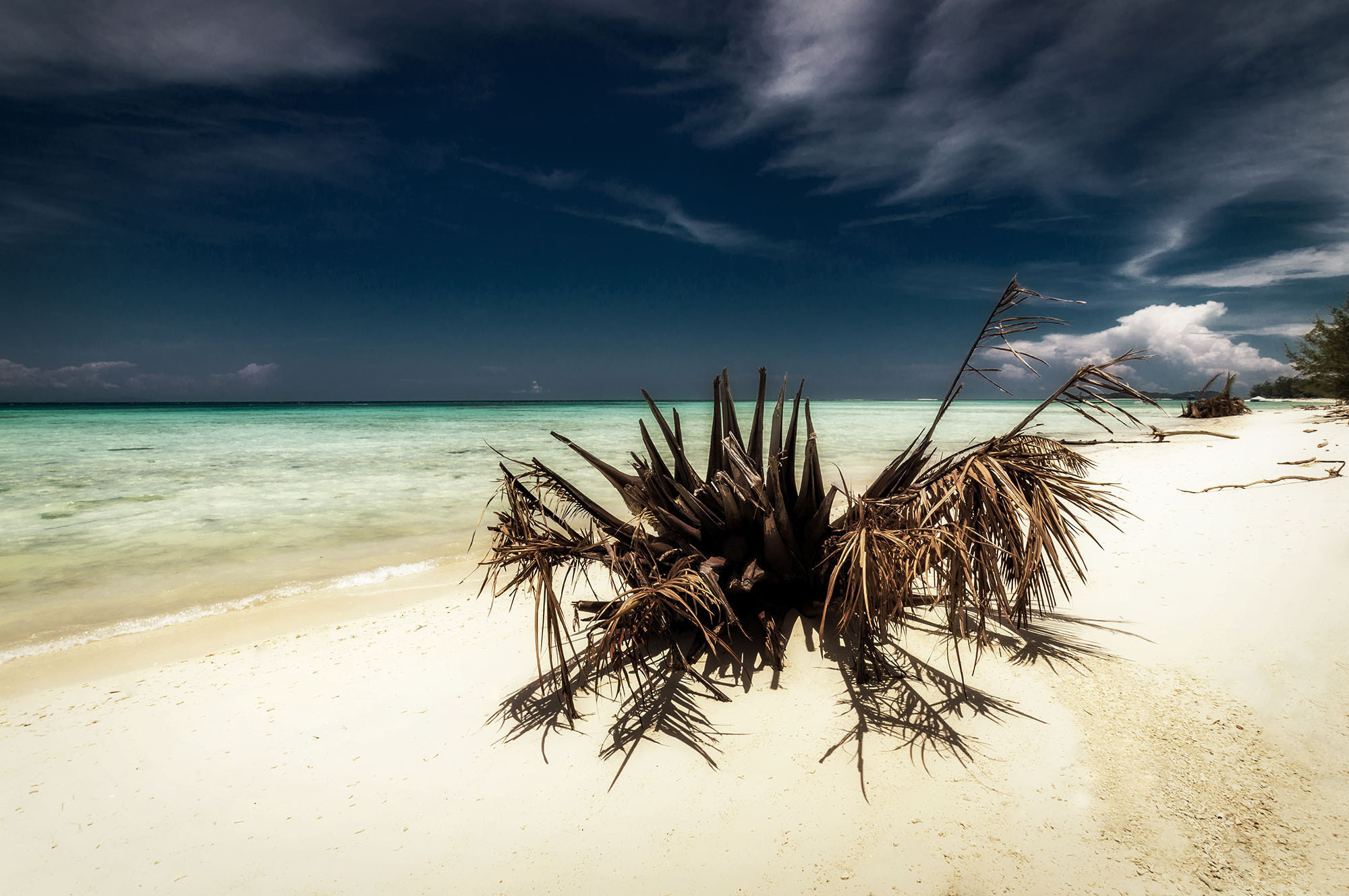 Sony SLT-A57 sample photo. Mantanani island photography