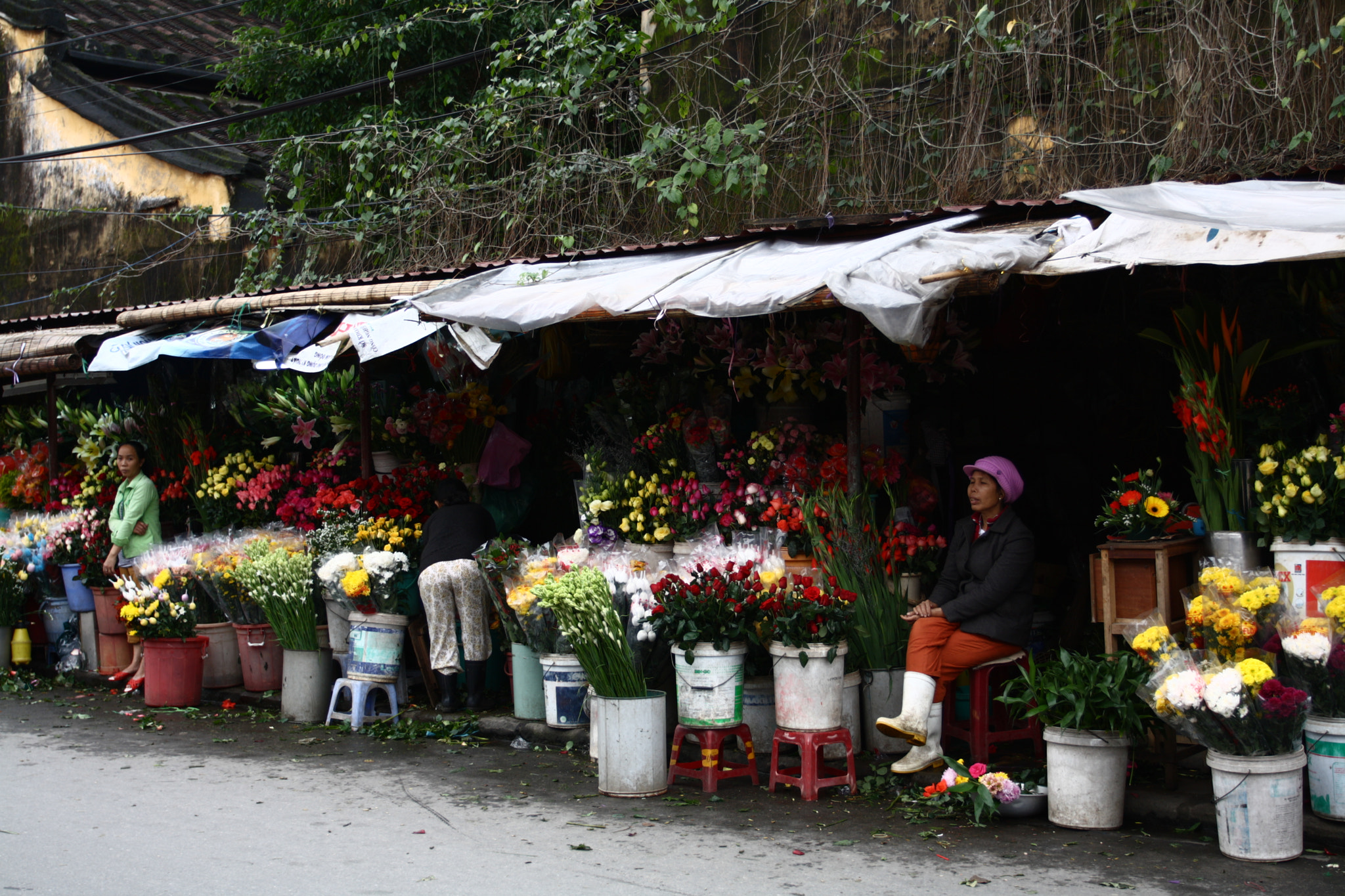 Canon EOS 1000D (EOS Digital Rebel XS / EOS Kiss F) sample photo. Flower market from hoi an photography