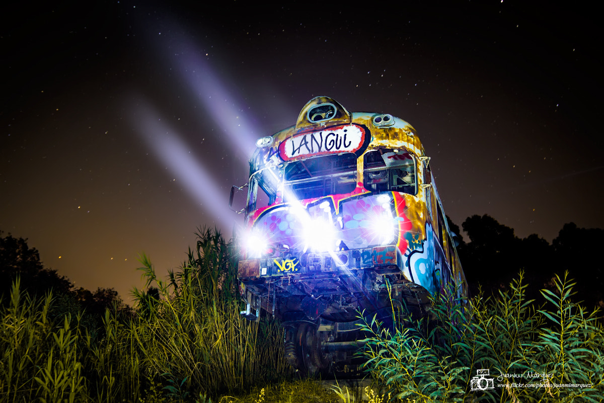 Tokina AT-X Pro 12-24mm F4 (IF) DX sample photo. Tren photography