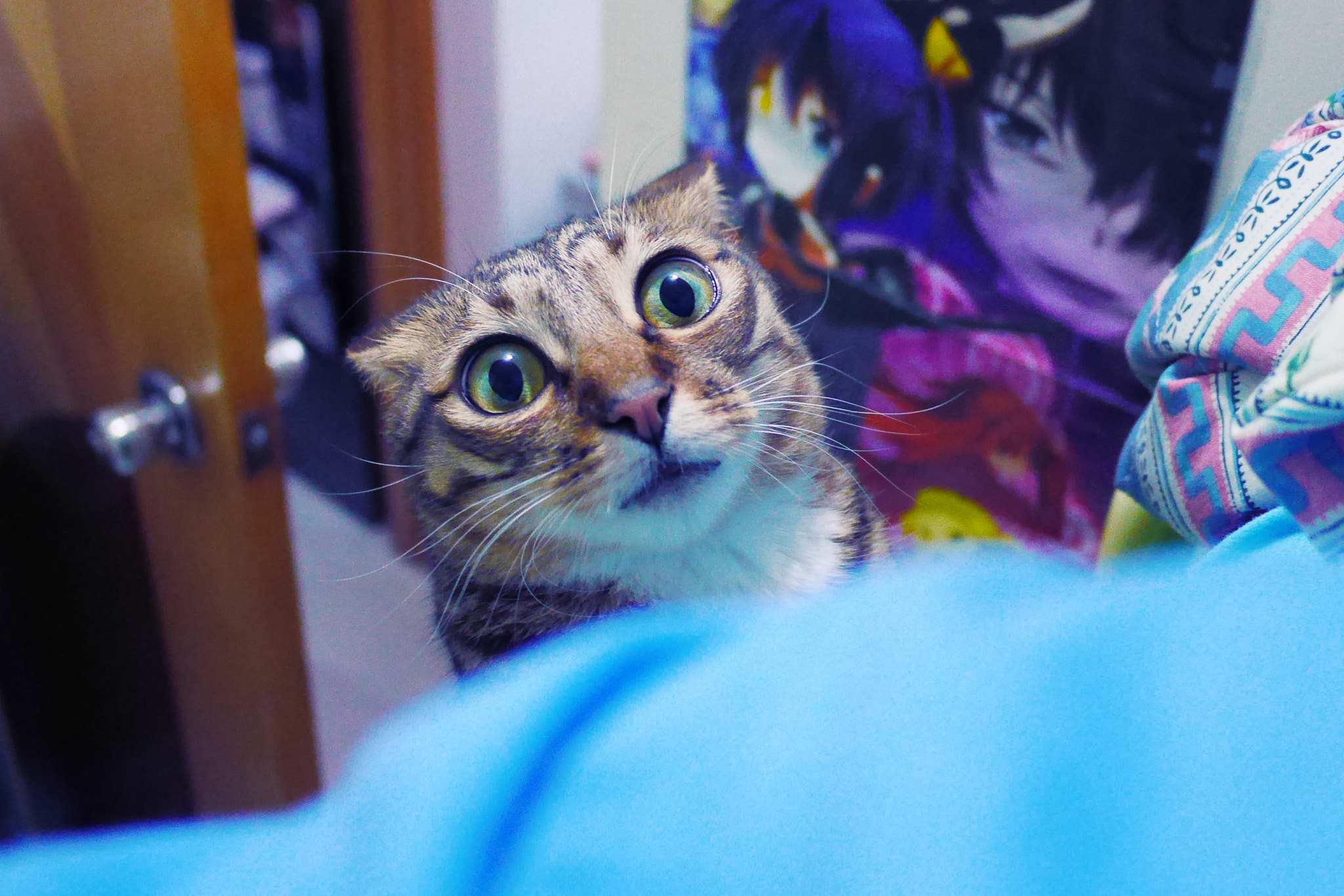 Panasonic Lumix DMC-GX7 + Panasonic Lumix G 14mm F2.5 ASPH sample photo. 彪彪找我 photography