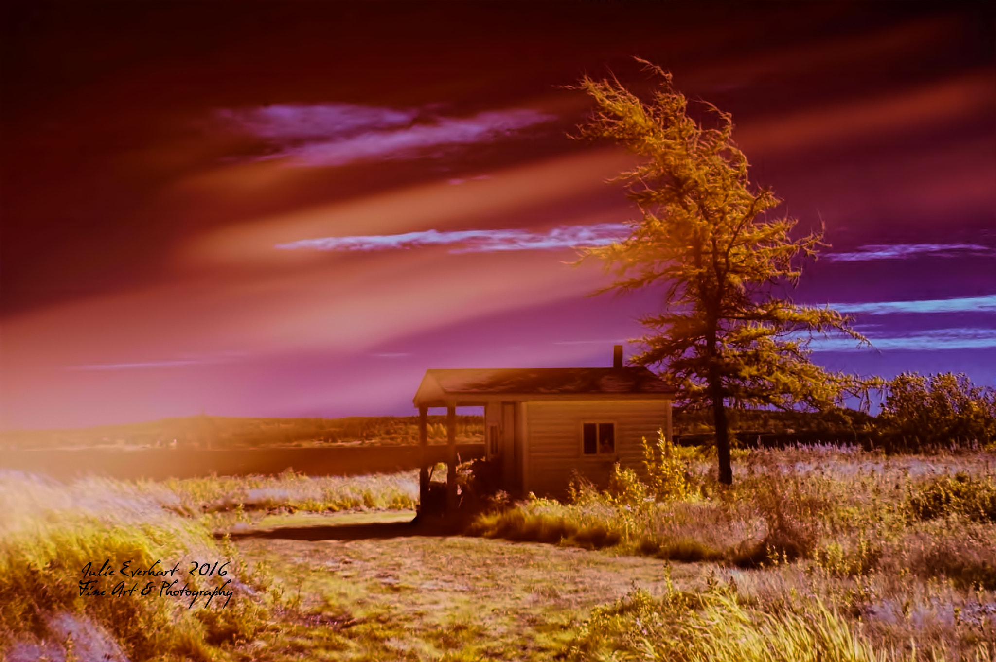 Nikon D70 sample photo. Magenta sky photography