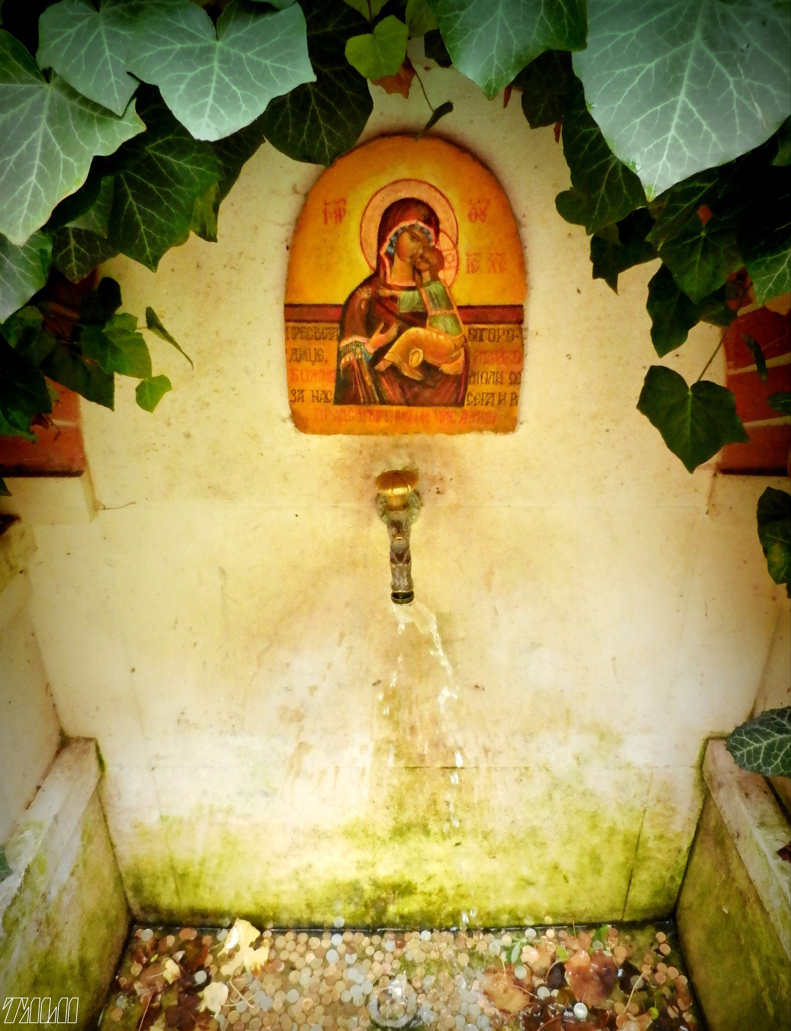 Olympus SH-21 sample photo. Water and faith photography