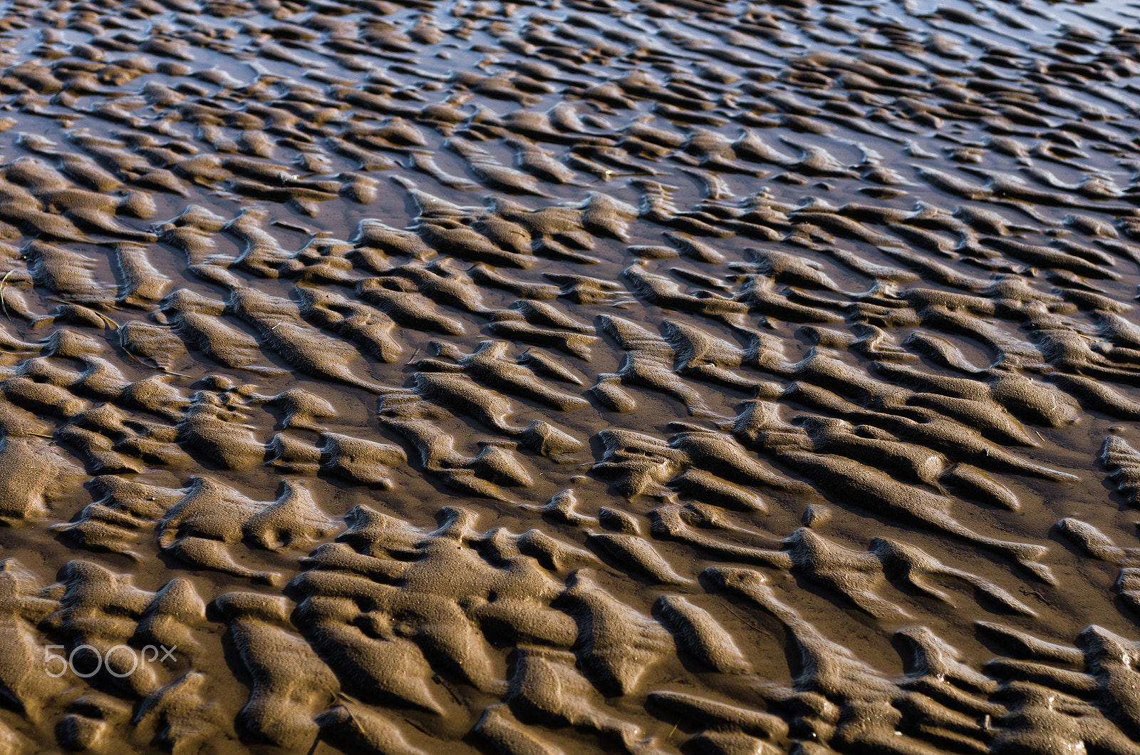 Pentax K-5 sample photo. Sand photography