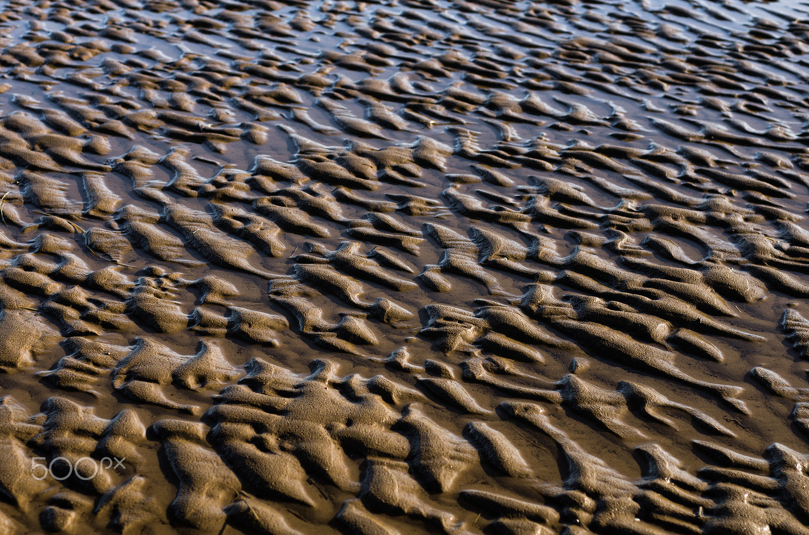 Pentax K-5 + smc PENTAX-F MACRO 50mm F2.8 sample photo. Sand photography