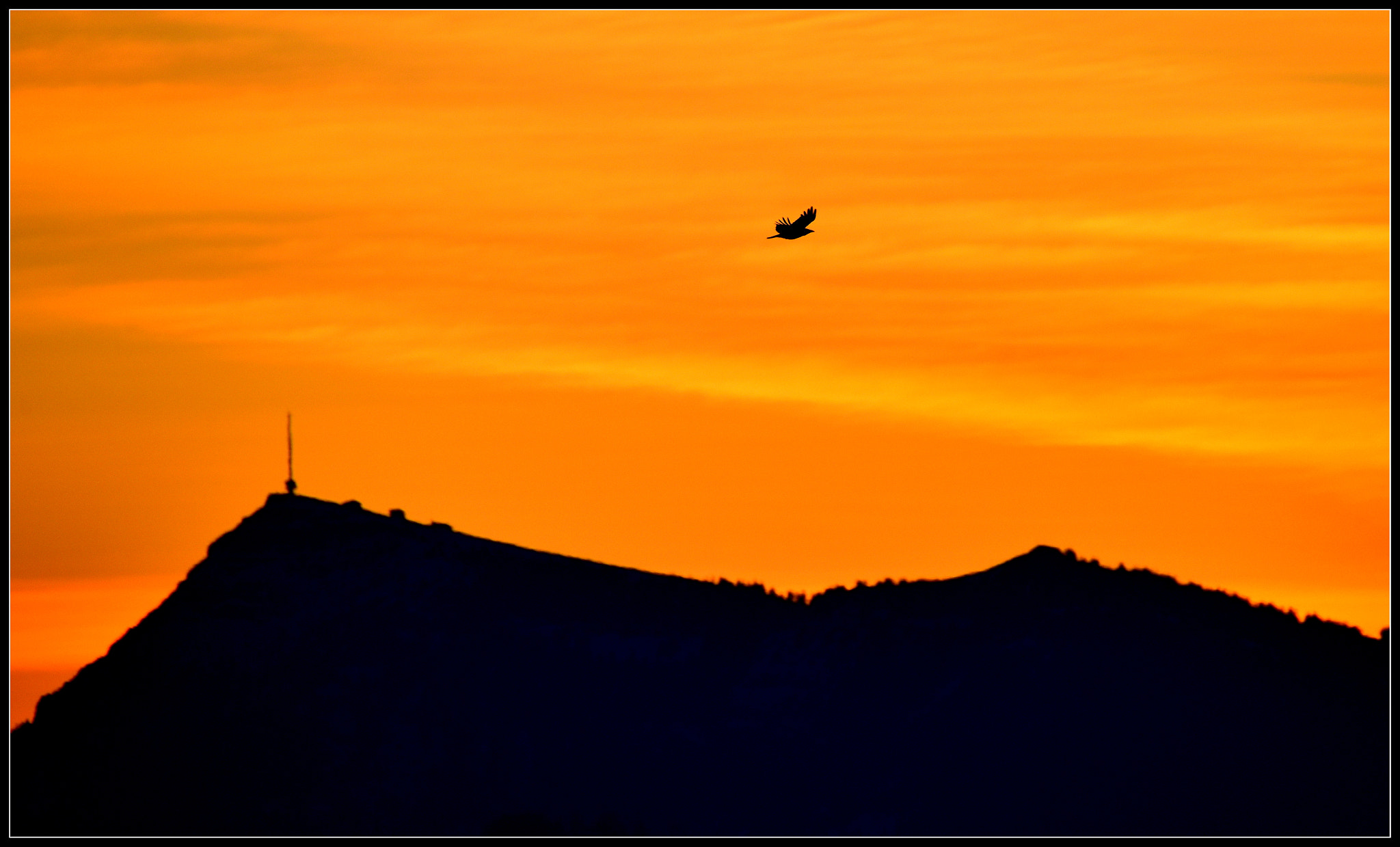 Sigma 50-500mm F4.5-6.3 DG OS HSM sample photo. Morgenflug photography