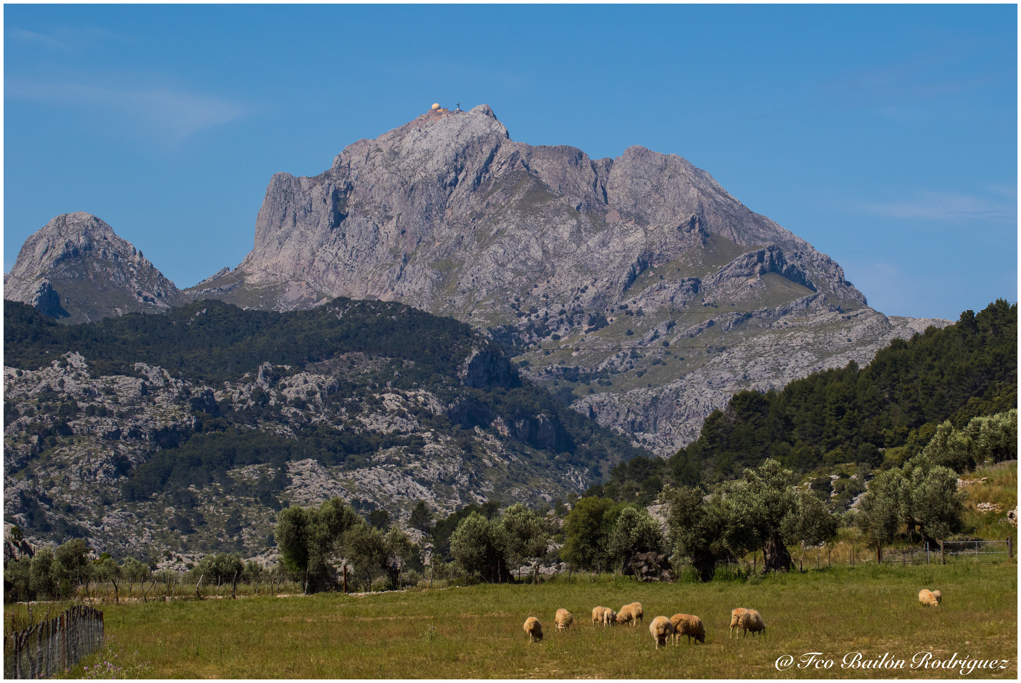 Tamron SP 35mm F1.8 Di VC USD sample photo. Puig major (escorca, mallorca) photography