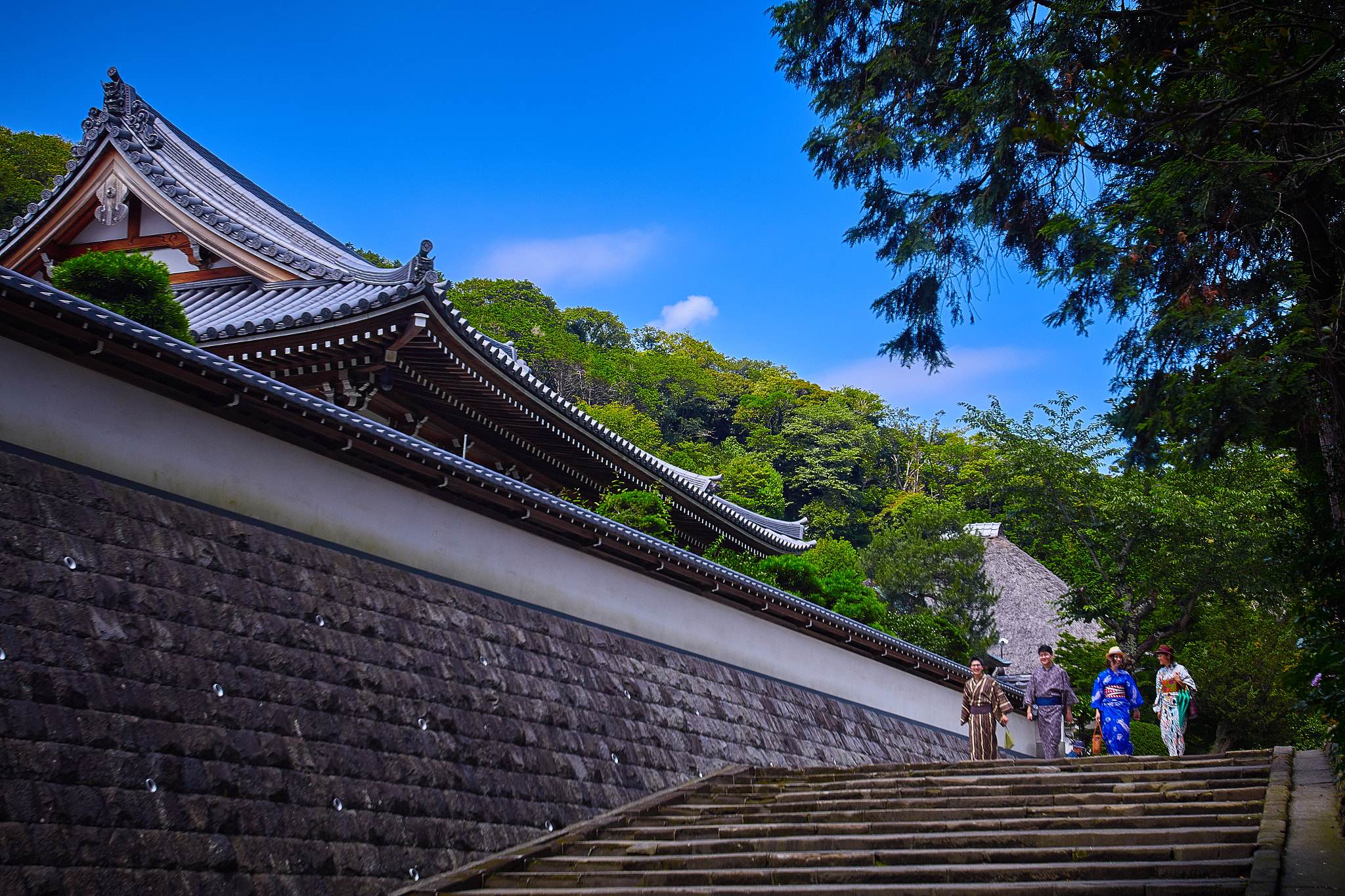 Canon EOS 70D + Canon EF 16-35mm F2.8L USM sample photo. Kamakura walking photography