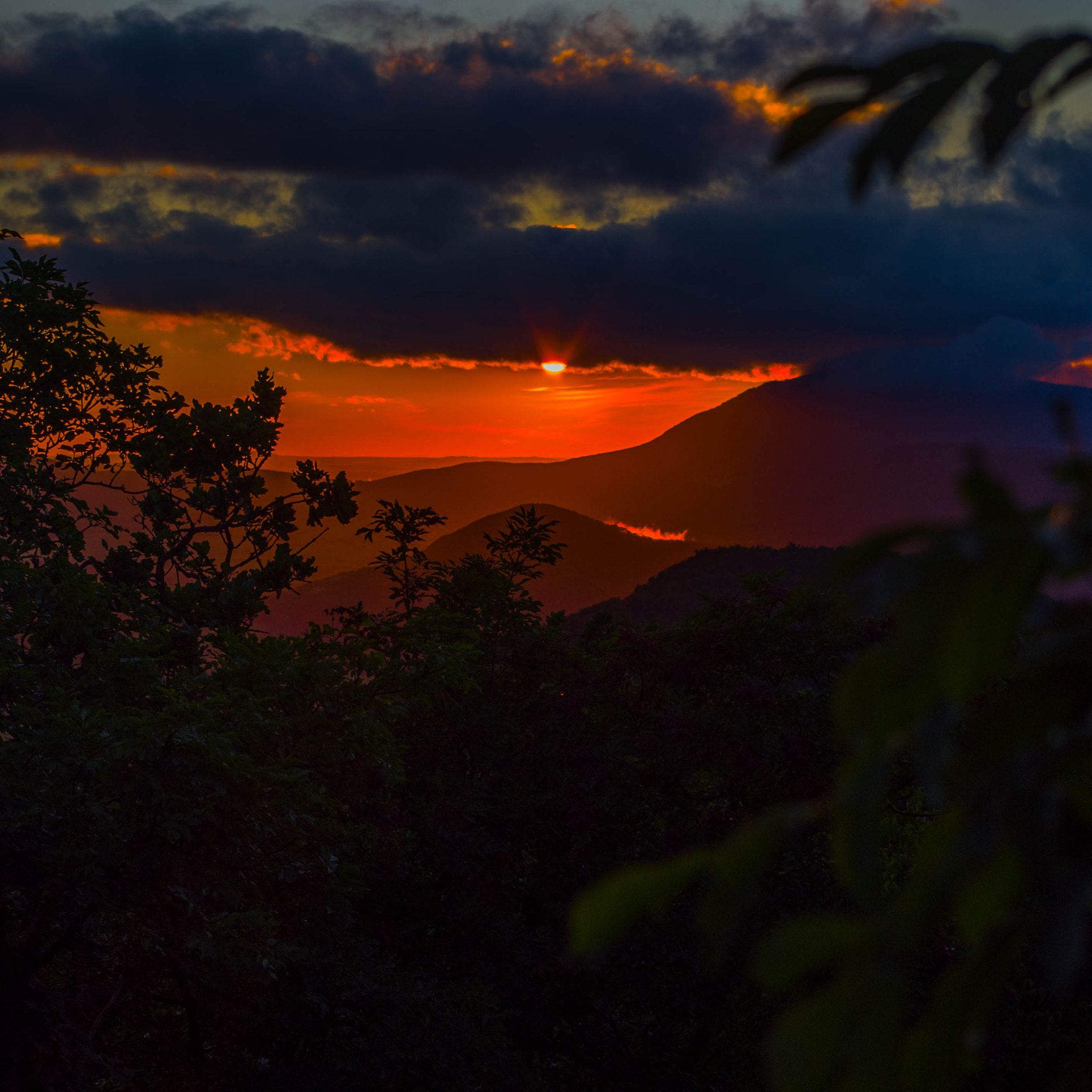Pentax smc DA 18-55mm F3.5-5.6 ED AL II (IF) sample photo. Crimson down photography