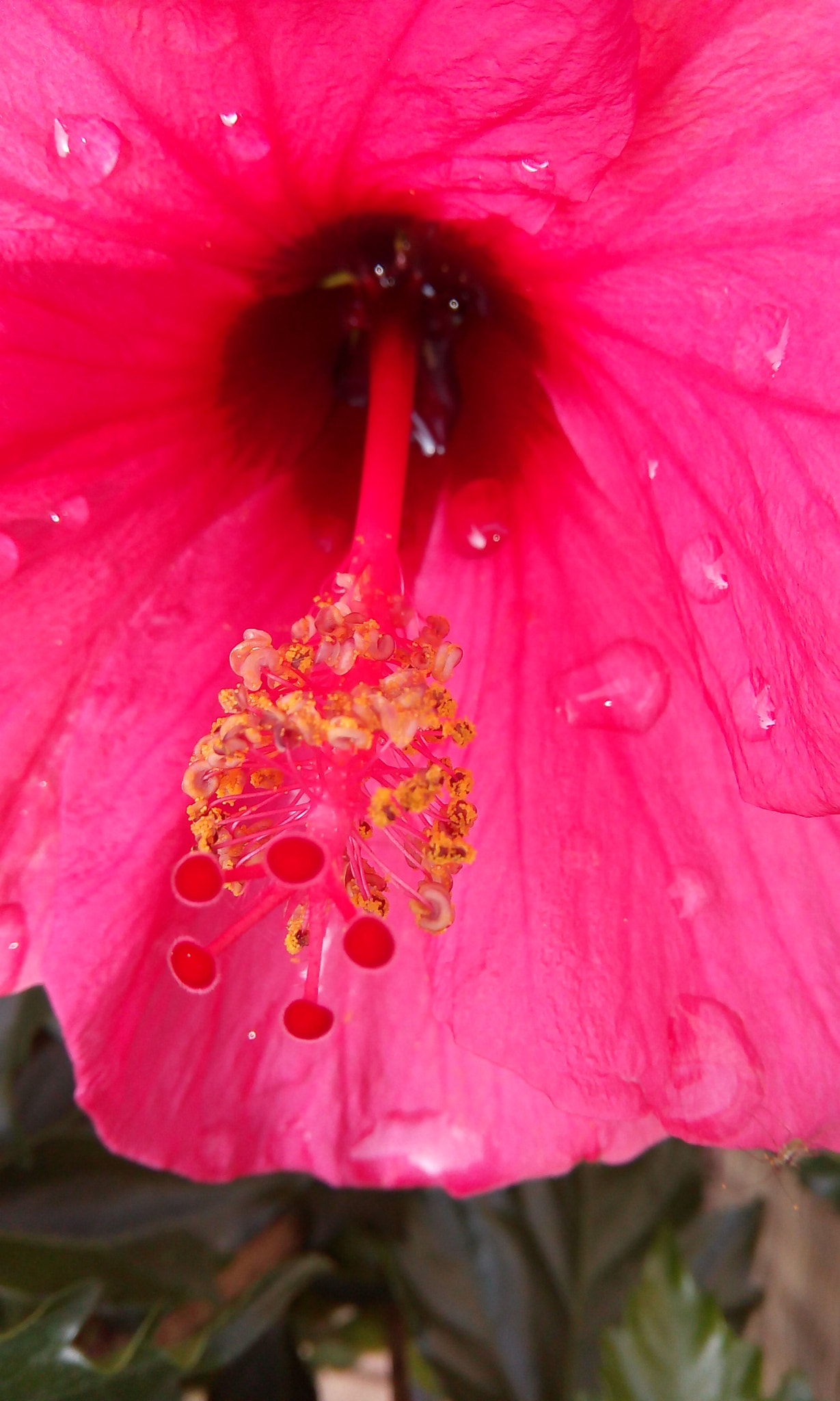 HTC DESIRE 620G DUAL SIM sample photo