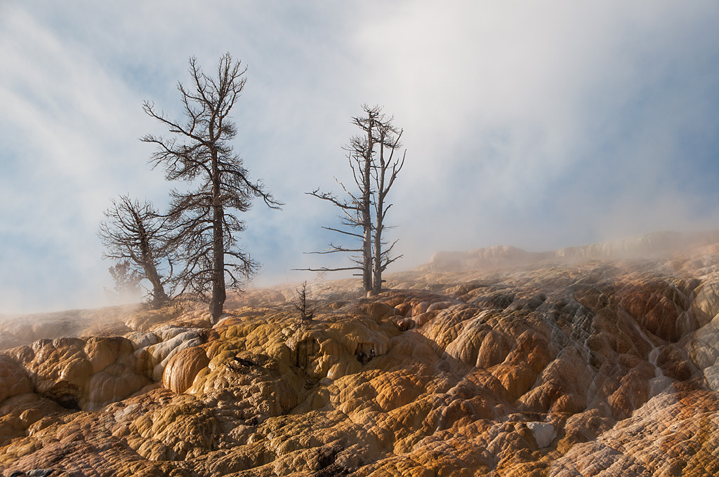 Nikon D5000 + Tamron AF 18-270mm F3.5-6.3 Di II VC LD Aspherical (IF) MACRO sample photo. Mammoth hot springs photography