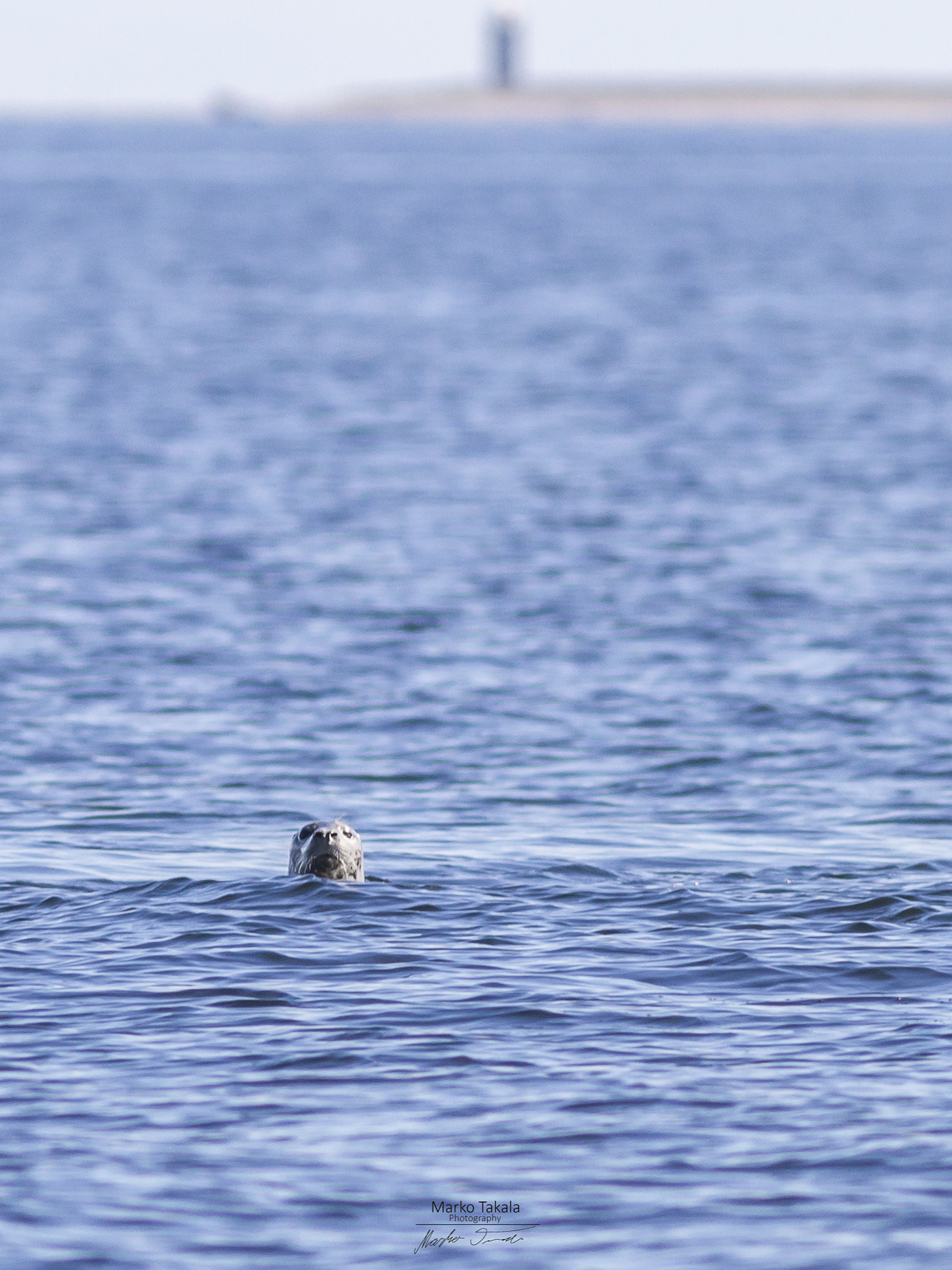 Canon EOS 7D + Canon EF 400mm F5.6L USM sample photo. Fishing friend photography