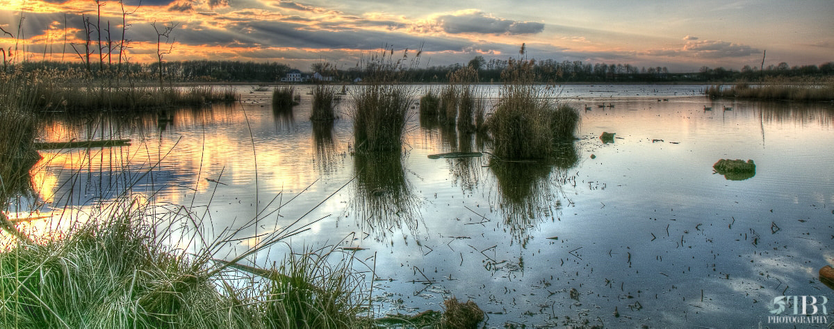 Canon EF-S 17-55mm F2.8 IS USM sample photo. Marshlands photography