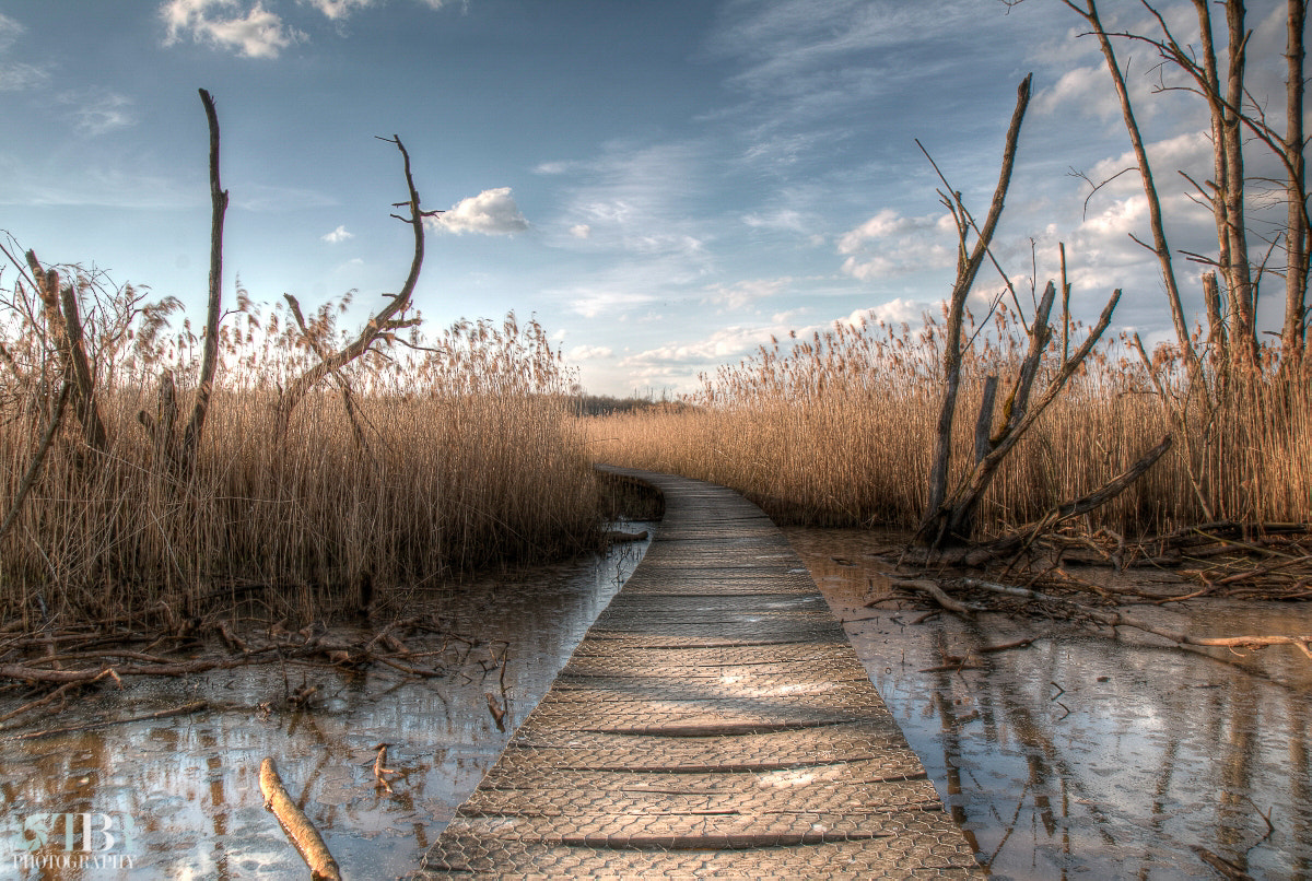 Canon EF-S 17-55mm F2.8 IS USM sample photo. Marshlands photography