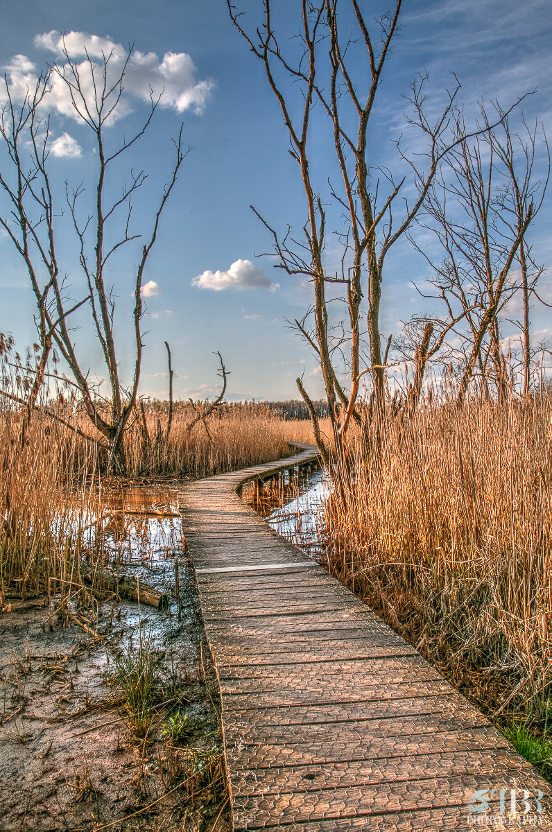 Canon EF-S 17-55mm F2.8 IS USM sample photo. Marshlands photography