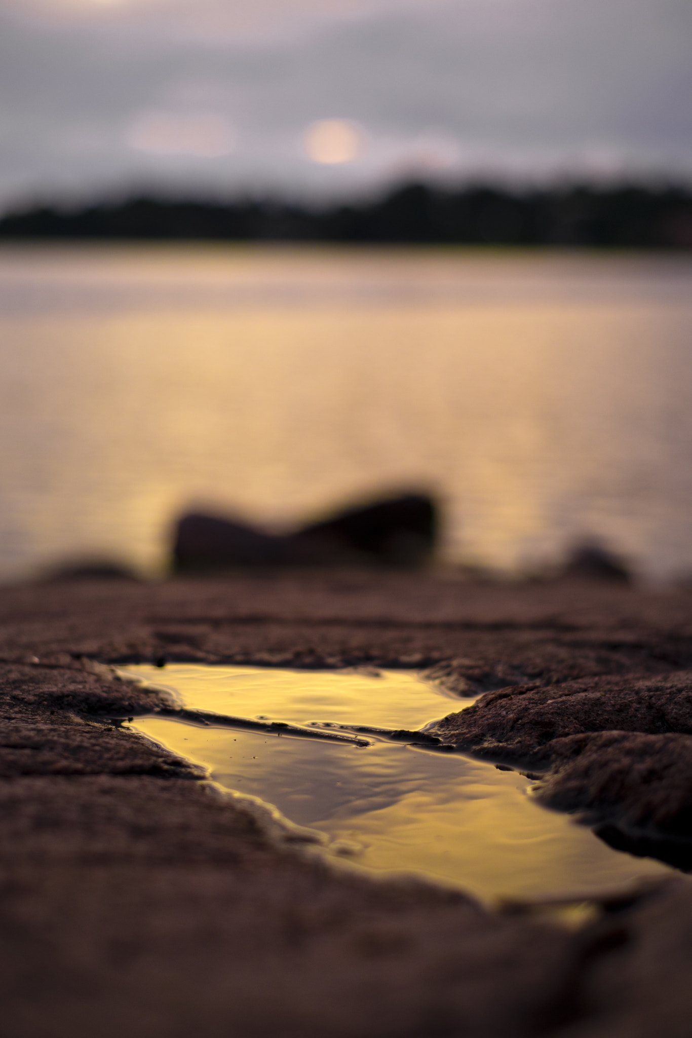 Sigma 120-400mm F4.5-5.6 DG OS HSM sample photo. Sunset puddle photography