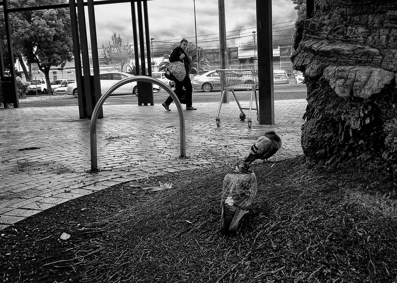 Apple iPhone8,1 sample photo. Street photography