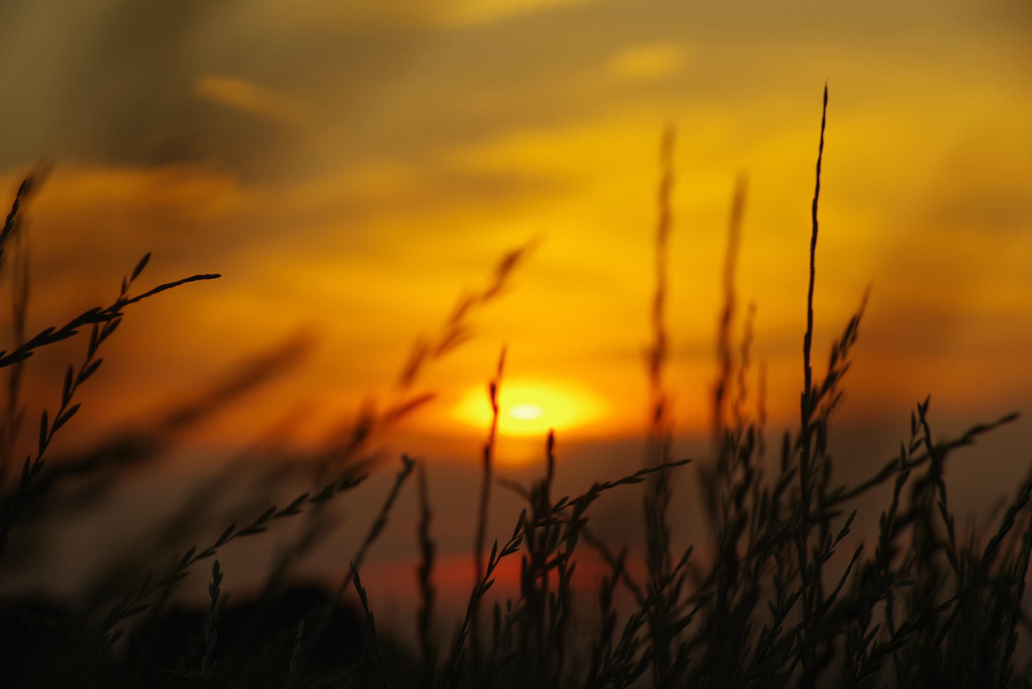 Tamron AF 70-300mm F4-5.6 Di LD Macro sample photo. And sunset photography