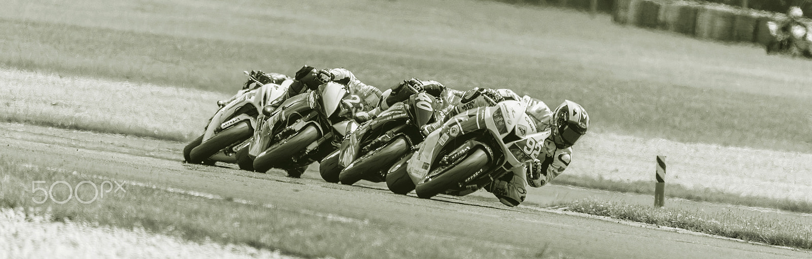 Sigma 150-600mm F5-6.3 DG OS HSM | S sample photo. Alpeadria photography