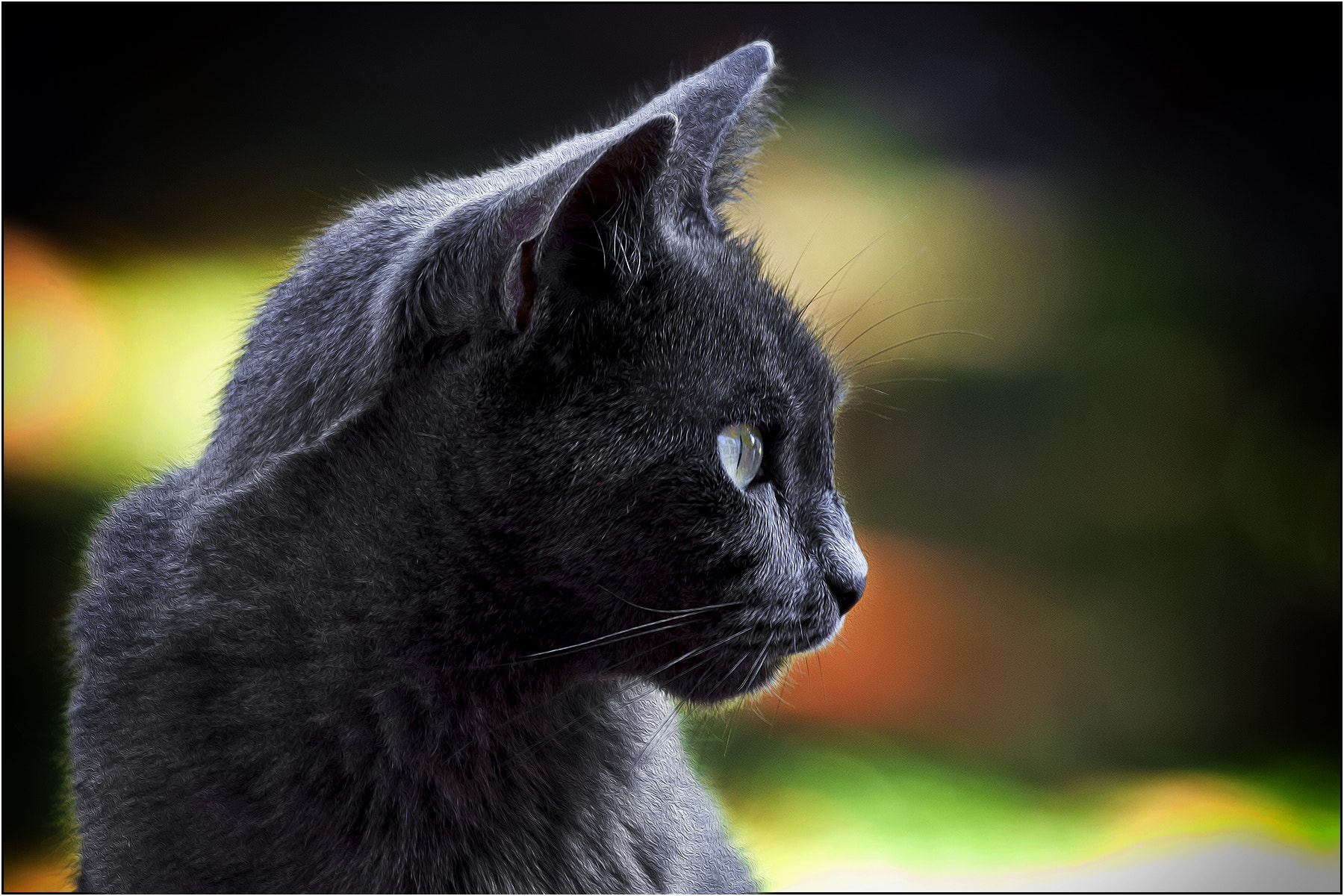 Canon EF 100-400mm F4.5-5.6L IS USM sample photo. Smoky in controluce photography