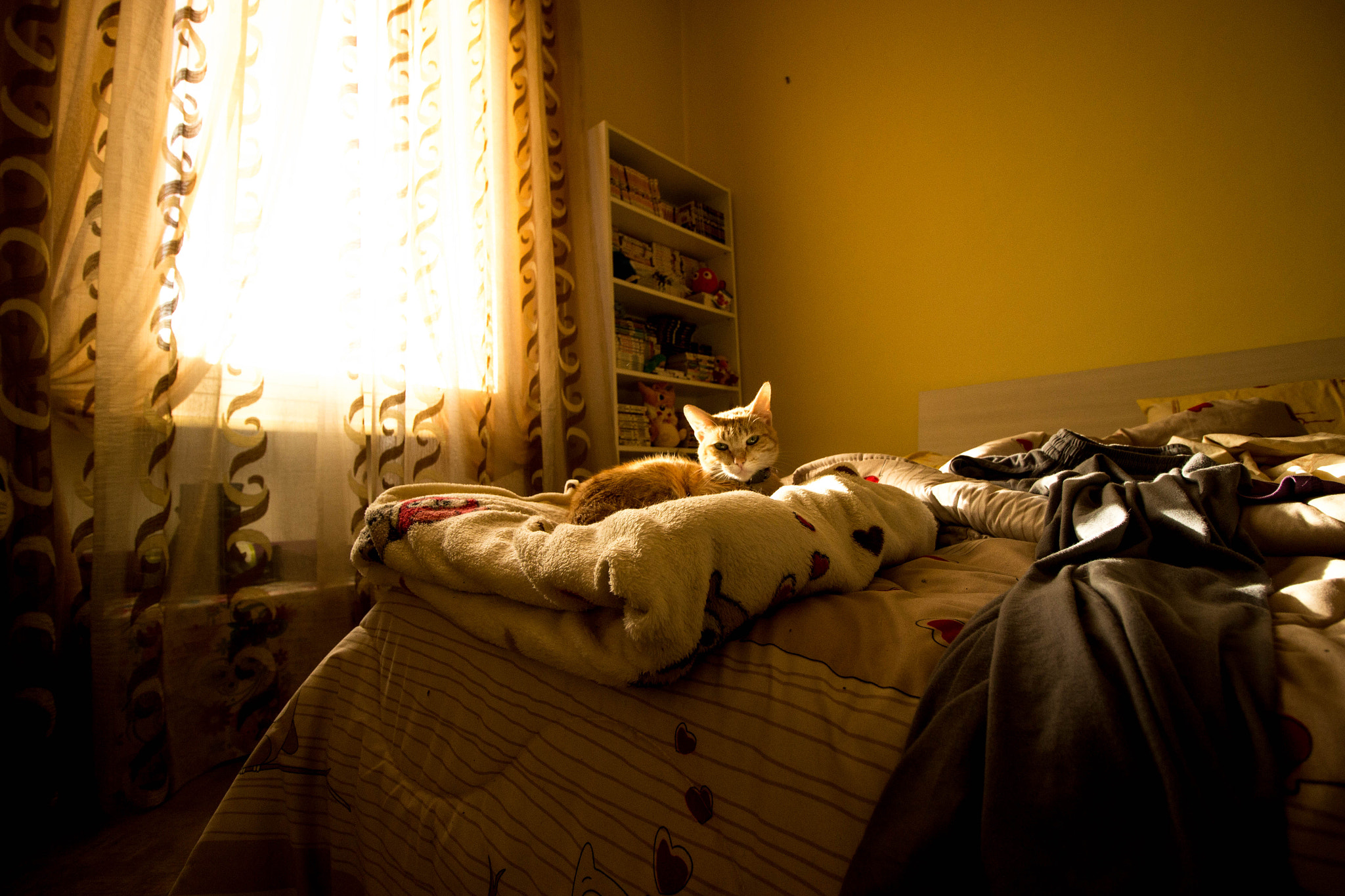 Canon EF-S 10-18mm F4.5–5.6 IS STM sample photo. Her place photography