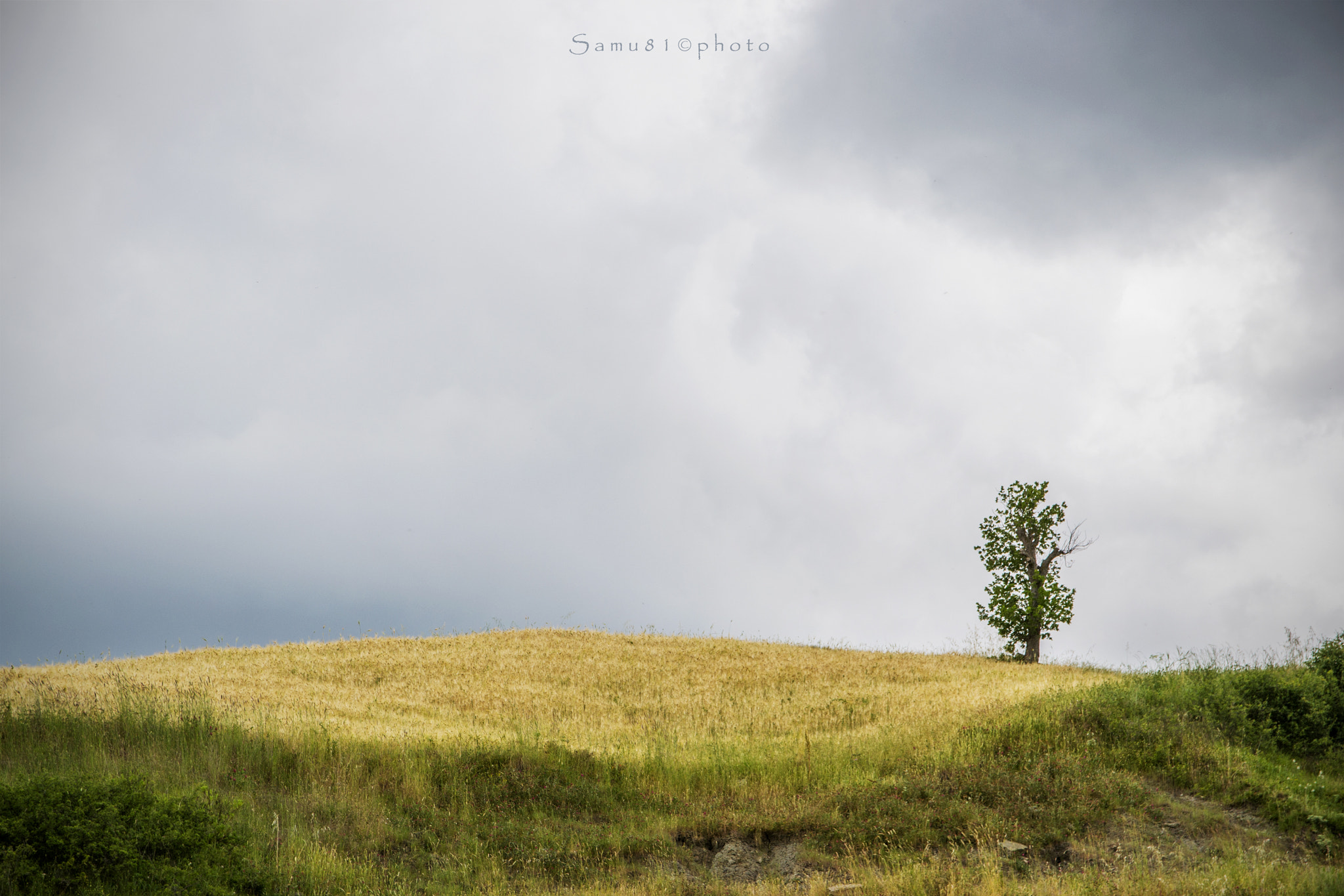 Sigma 17-70mm F2.8-4 DC Macro OS HSM | C sample photo. Infinity...1 photography
