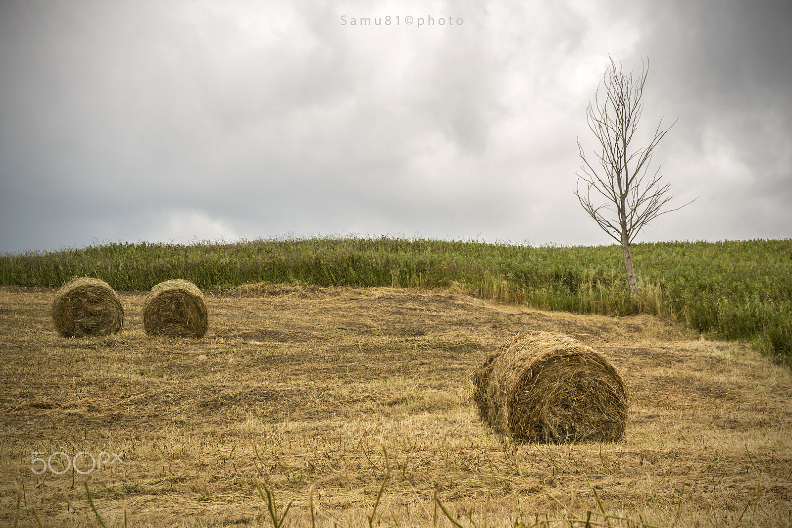 Sigma 17-70mm F2.8-4 DC Macro OS HSM | C sample photo. Infinity...2 photography