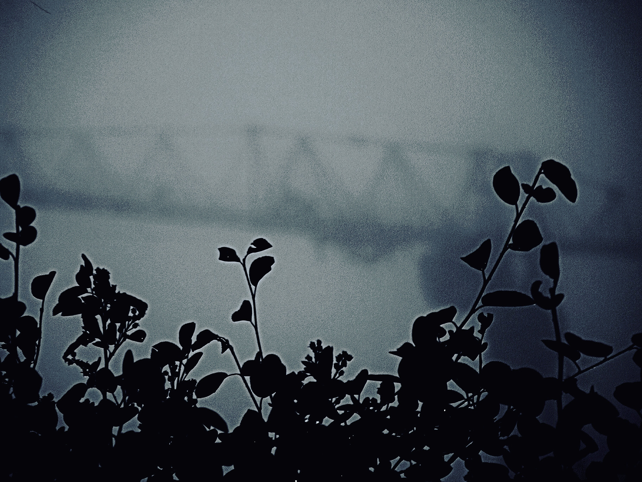 Olympus E-400 (EVOLT E-400) sample photo. Fog. photography