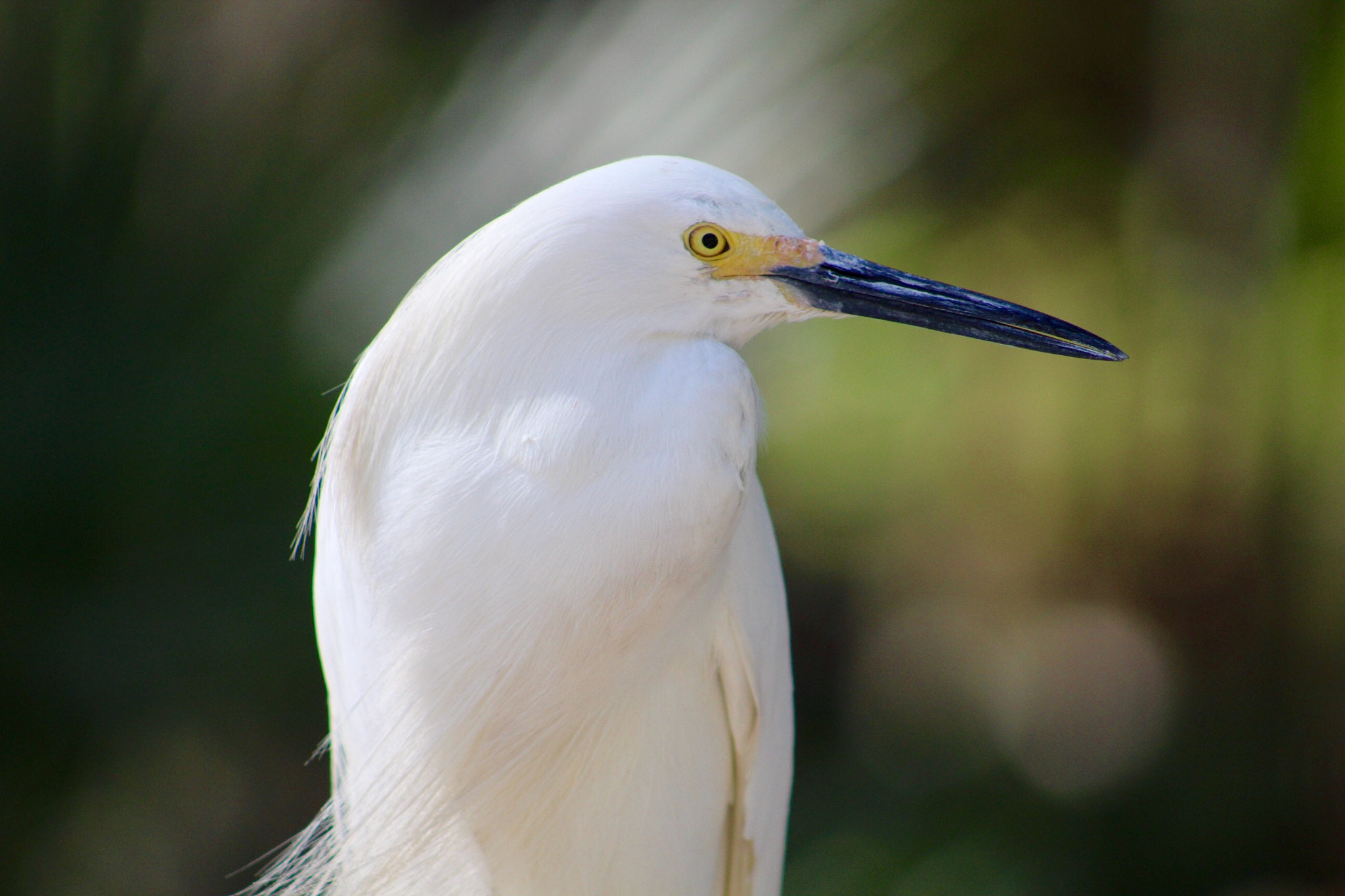 Canon EF75-300mm f/4-5.6 sample photo
