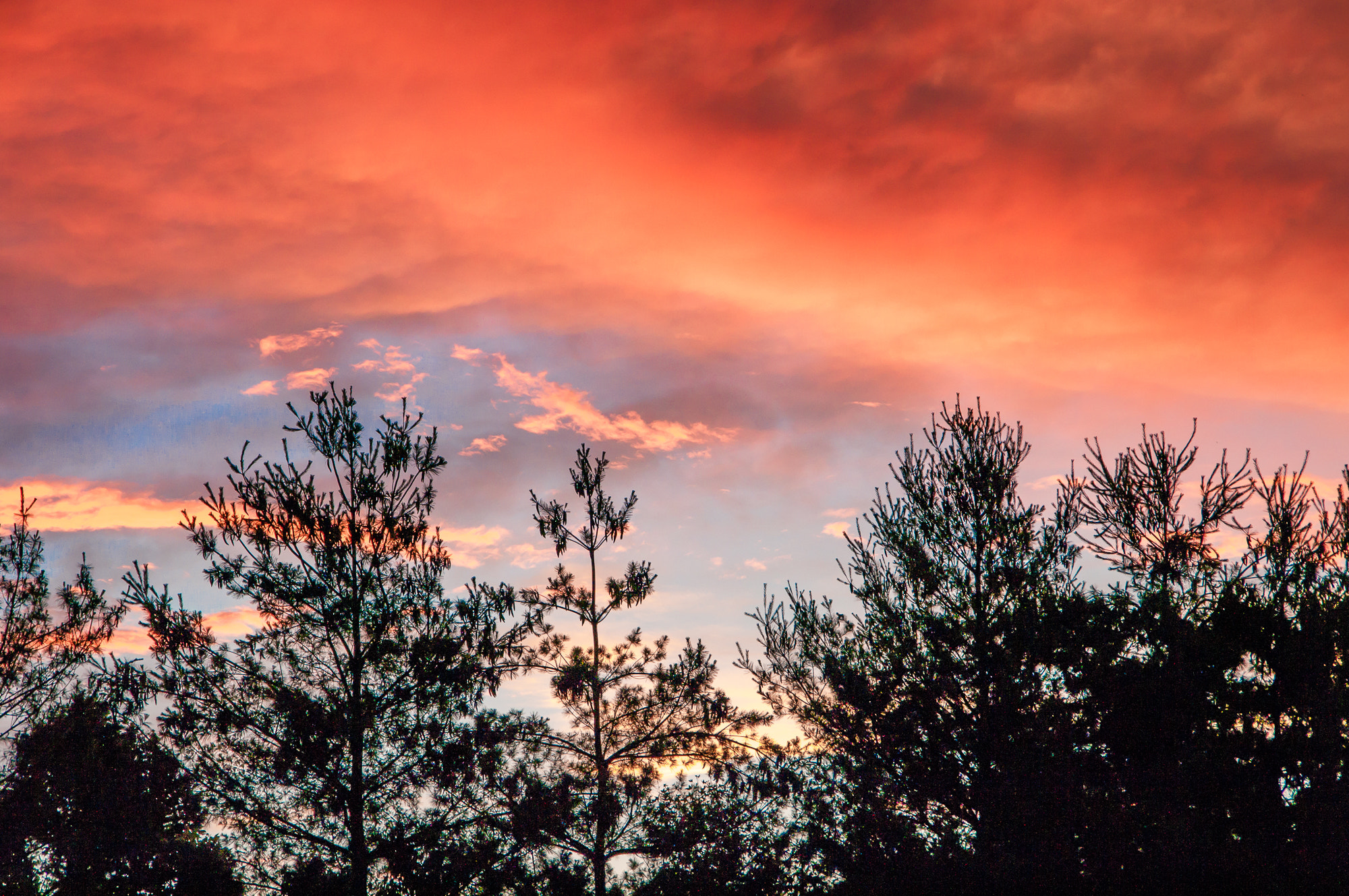 Pentax K20D sample photo. First sunset at new place photography