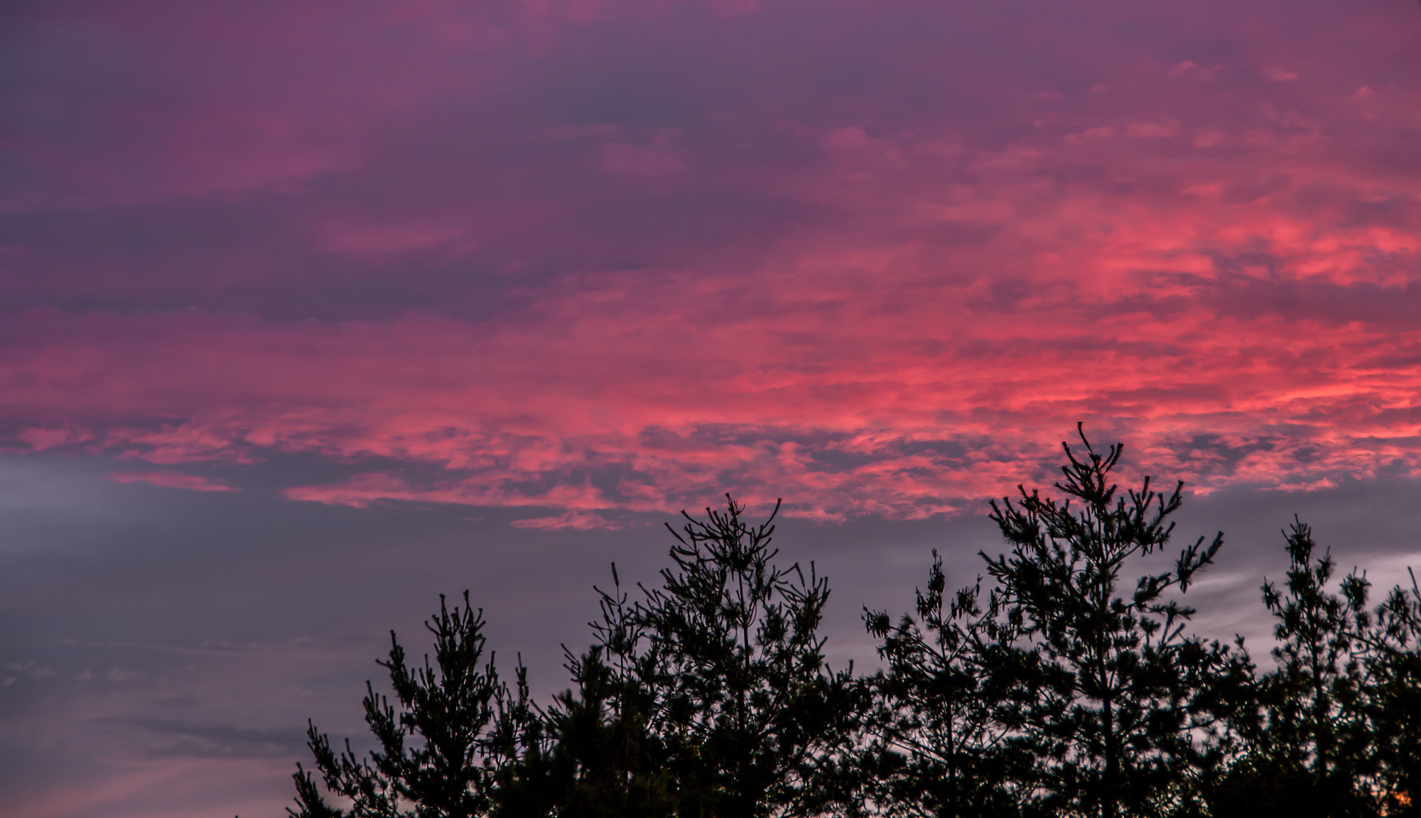Pentax K20D sample photo. First sunset at new place photography