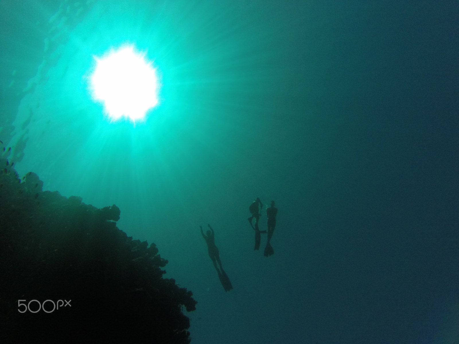 GoPro HERO sample photo. Snorkeling at the coral reef photography