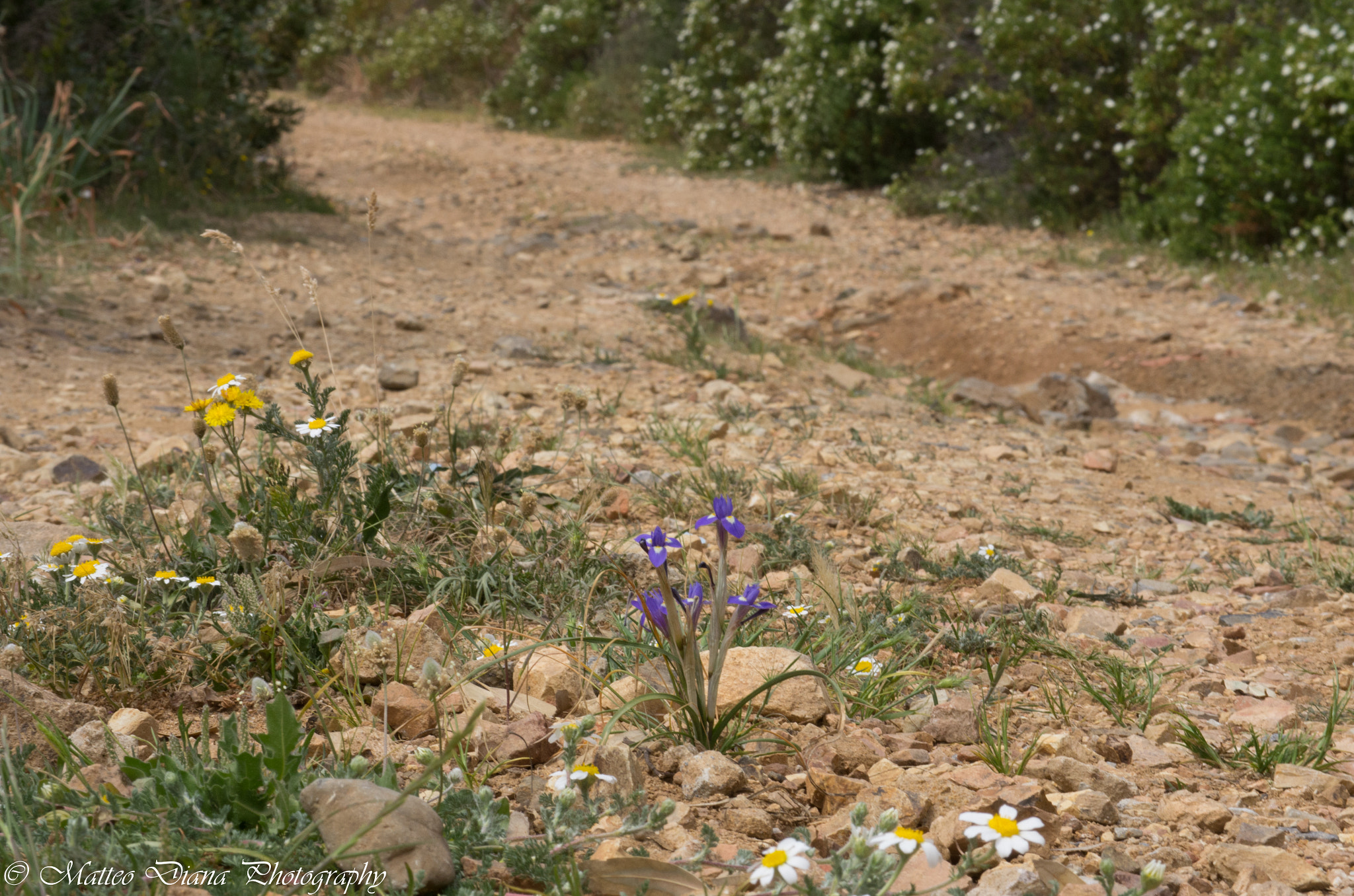 Pentax K-5 sample photo. _igp0780.jpg photography