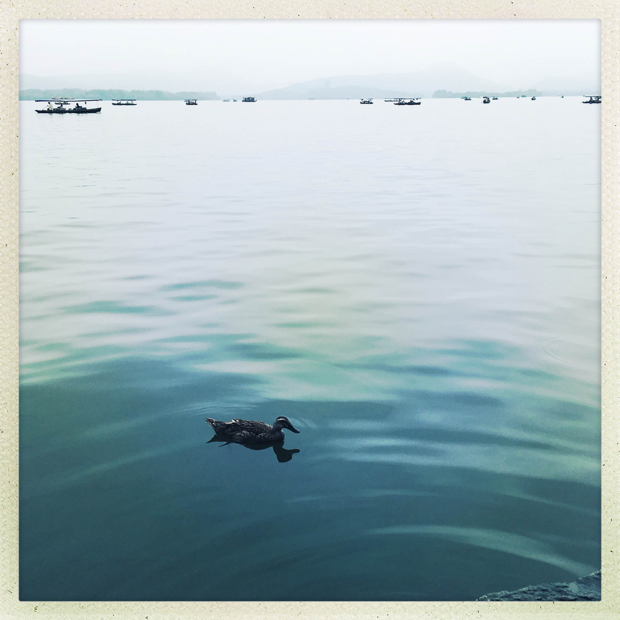 Hipstamatic 304 sample photo. 西子湖畔 photography