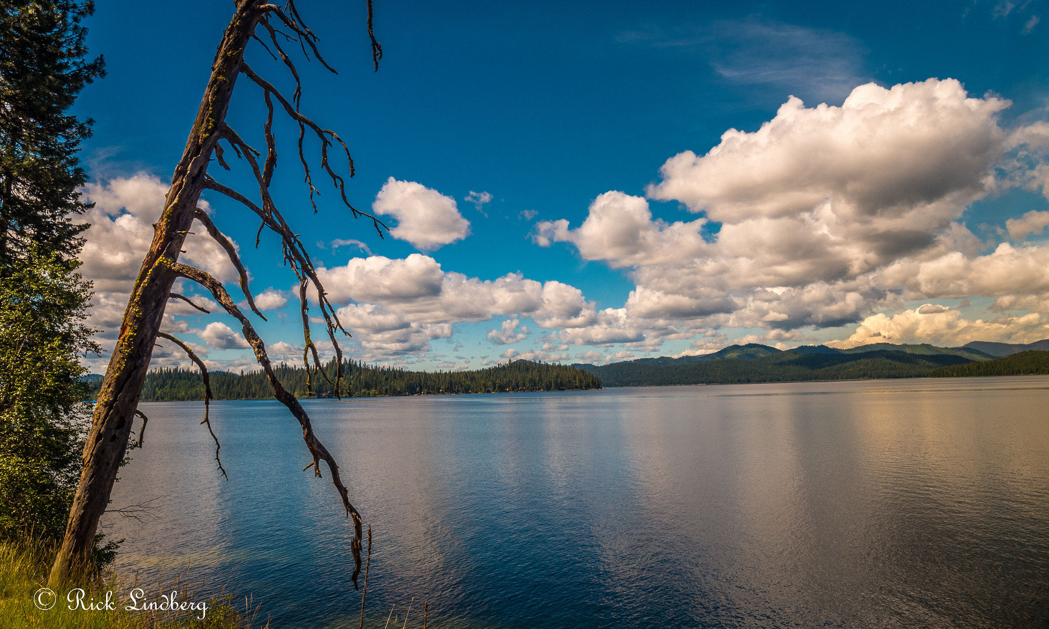 Pentax K-50 + A Series Lens sample photo. Leaning to the right photography