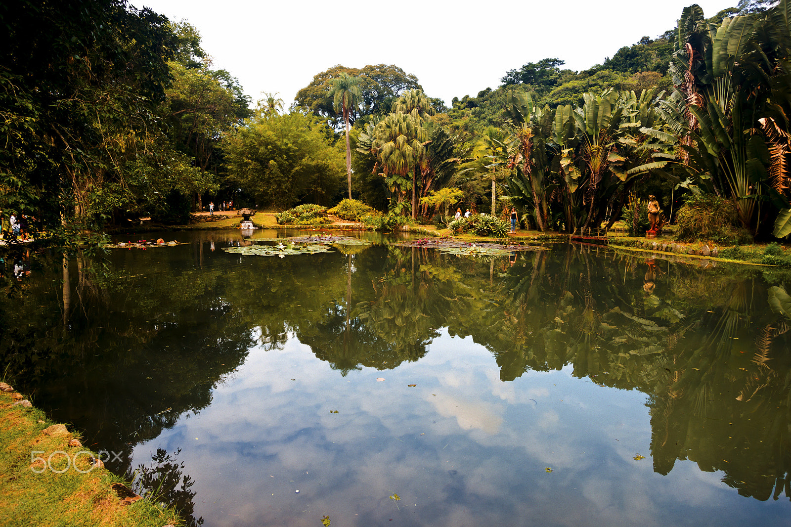 Minolta AF 28-85mm F3.5-4.5 New sample photo. In the botanical garden... photography