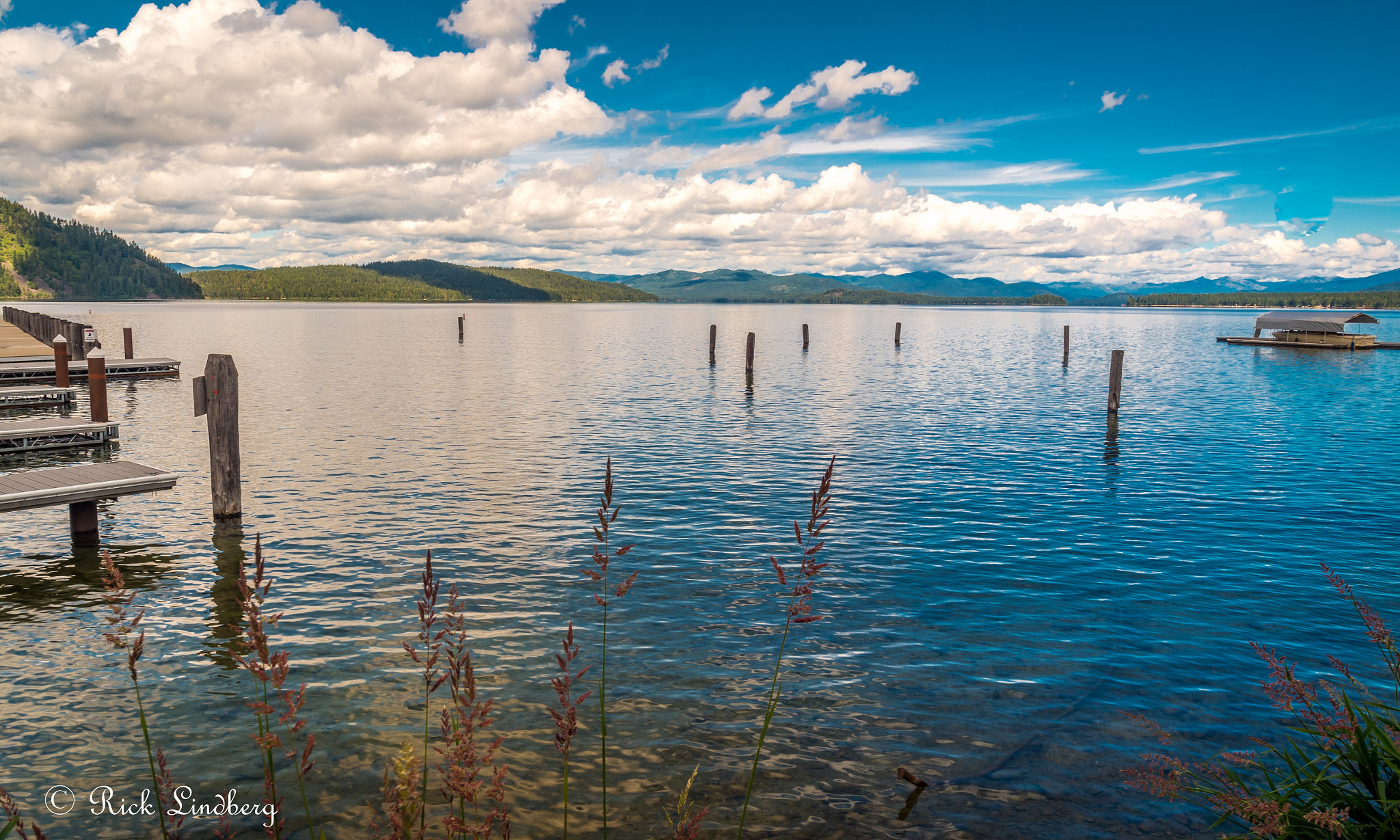 Pentax K-50 + A Series Lens sample photo. Stumps photography