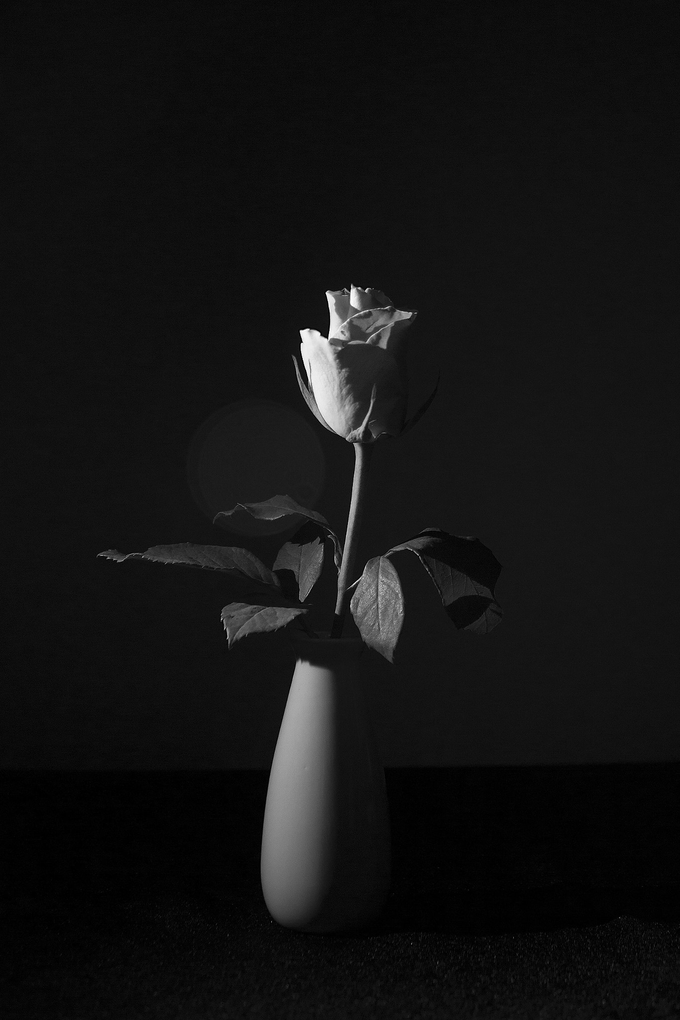Canon EF-S 18-55mm F3.5-5.6 sample photo. Low key rose - edited photography