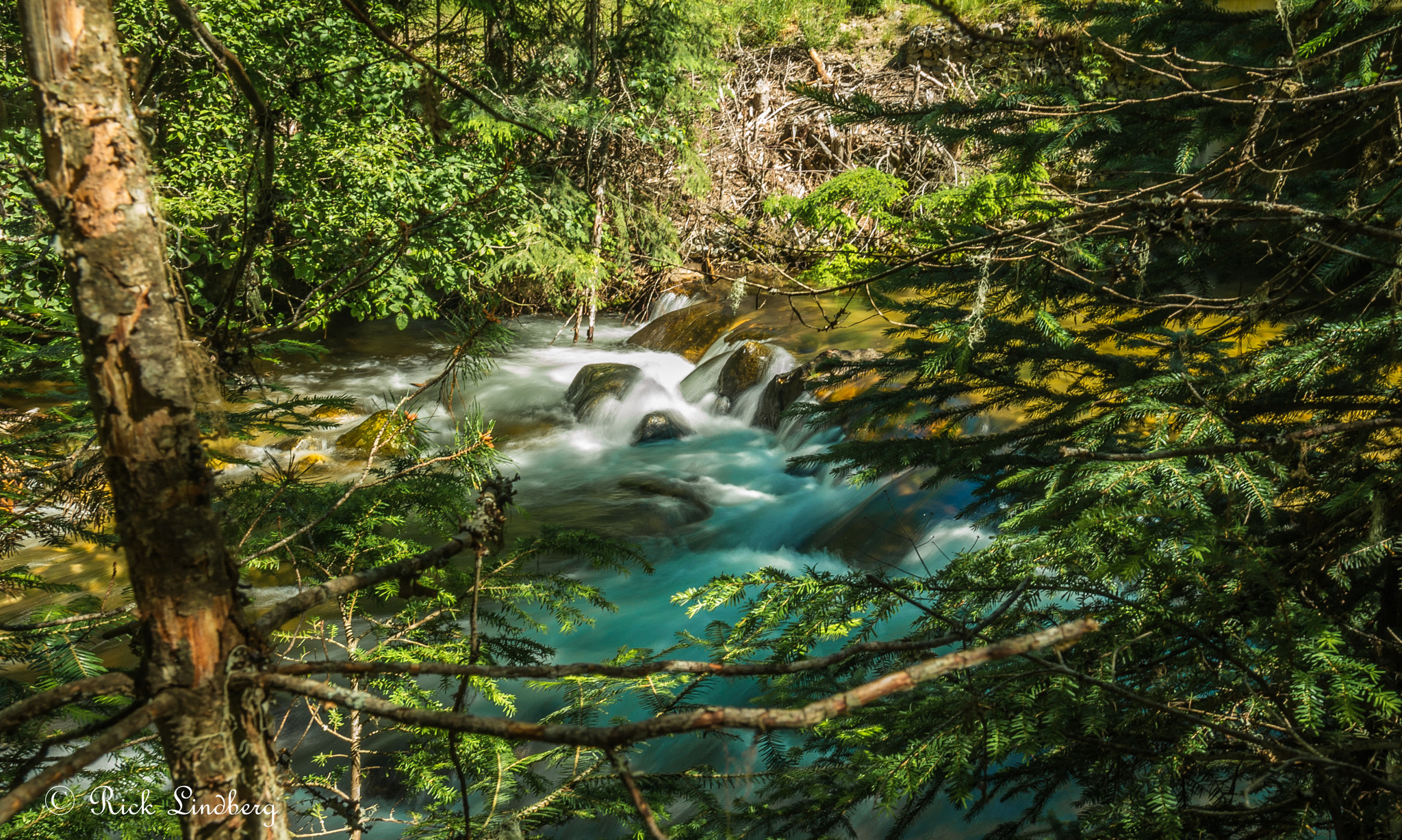 Pentax K-50 + A Series Lens sample photo. Through the trees photography