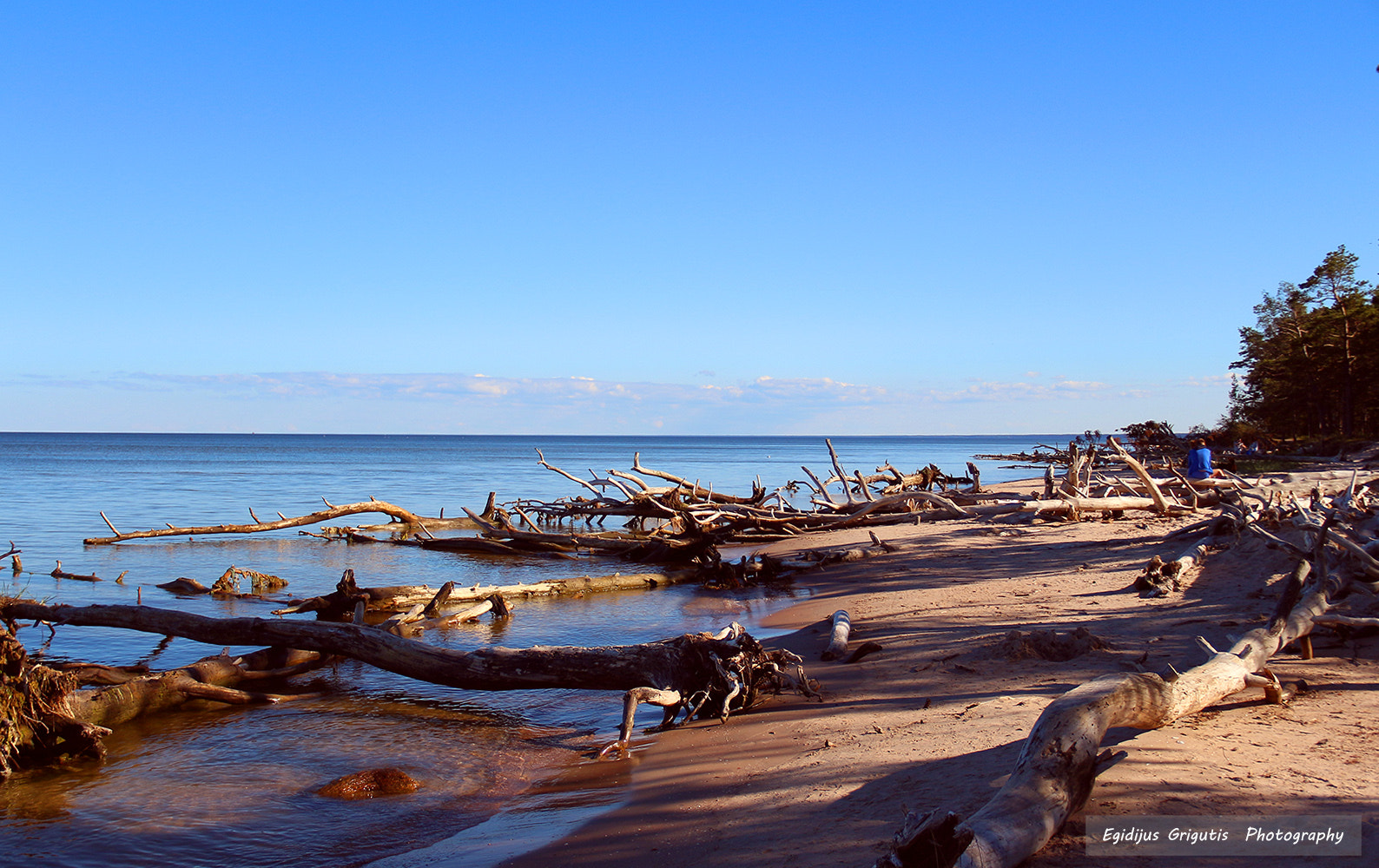 Panasonic DMC-LZ10 sample photo. 29.jpg photography