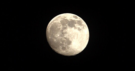 Canon EOS 7D + Canon EF 70-200mm F4L USM sample photo. I am over the moon :) photography